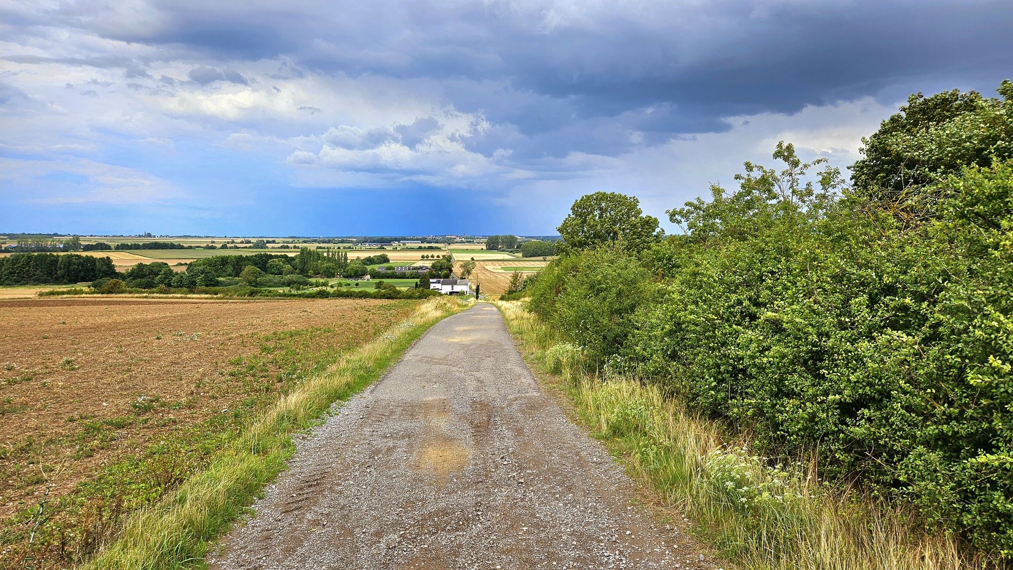 Die Römerstraße nach Zülpich