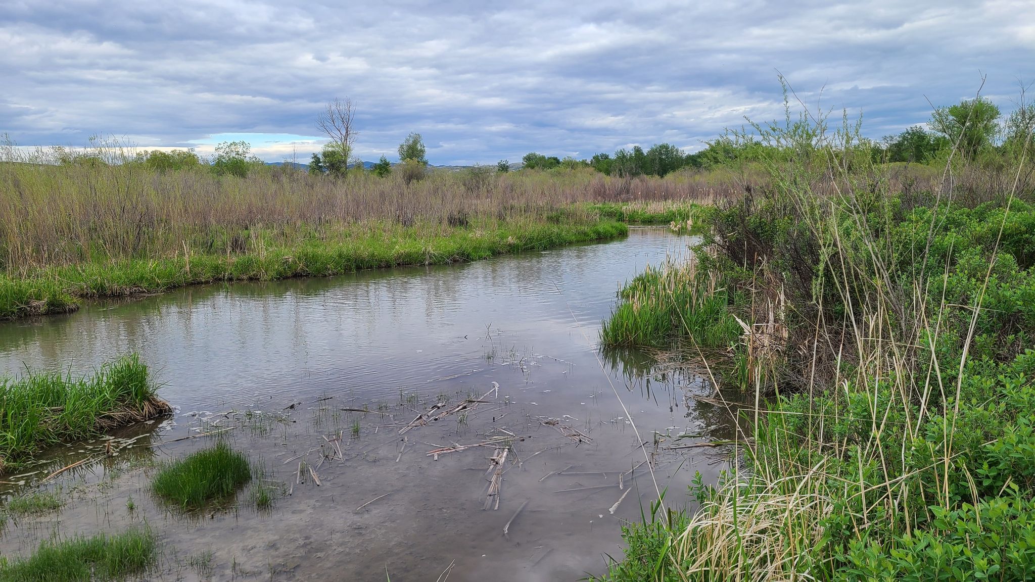 Winding stream through green and brown marshland under a cloudy sky. - Gallatin River Loop