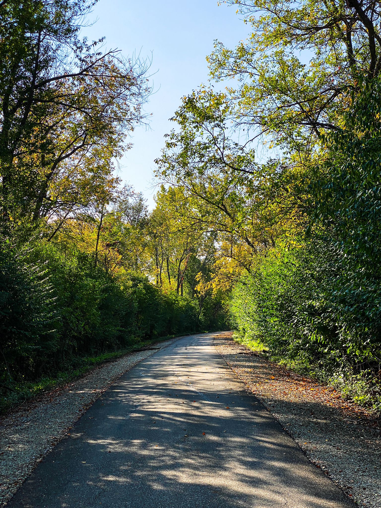 A paved path with dappled sunlight winds through dense green and yellow trees. - Gray's Lake beach – Bill Riley Trail loop from Des Moines University