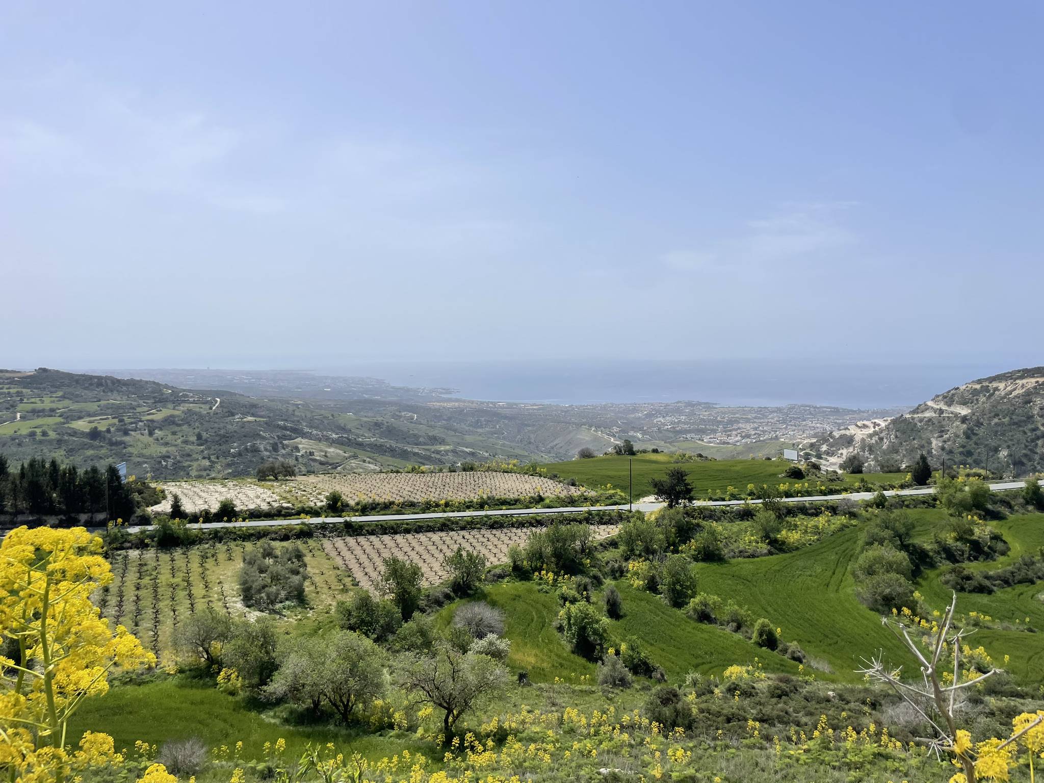 Latchi Harbour
