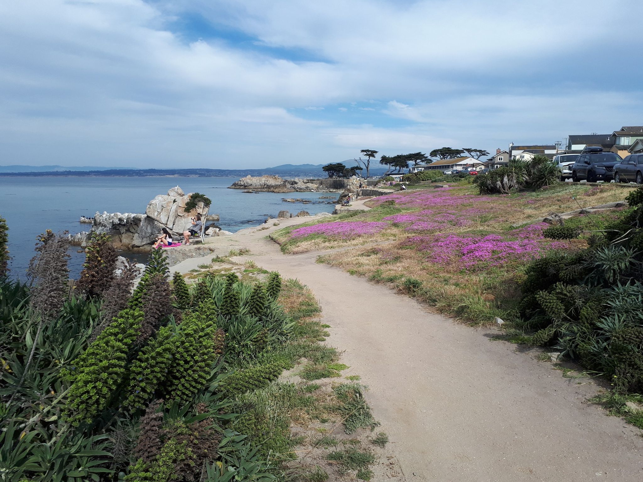 Coastal dirt path with purple flowers, green plants, and blue ocean. - Monterey State Beach – Fishermans Wharf loop from Monterey