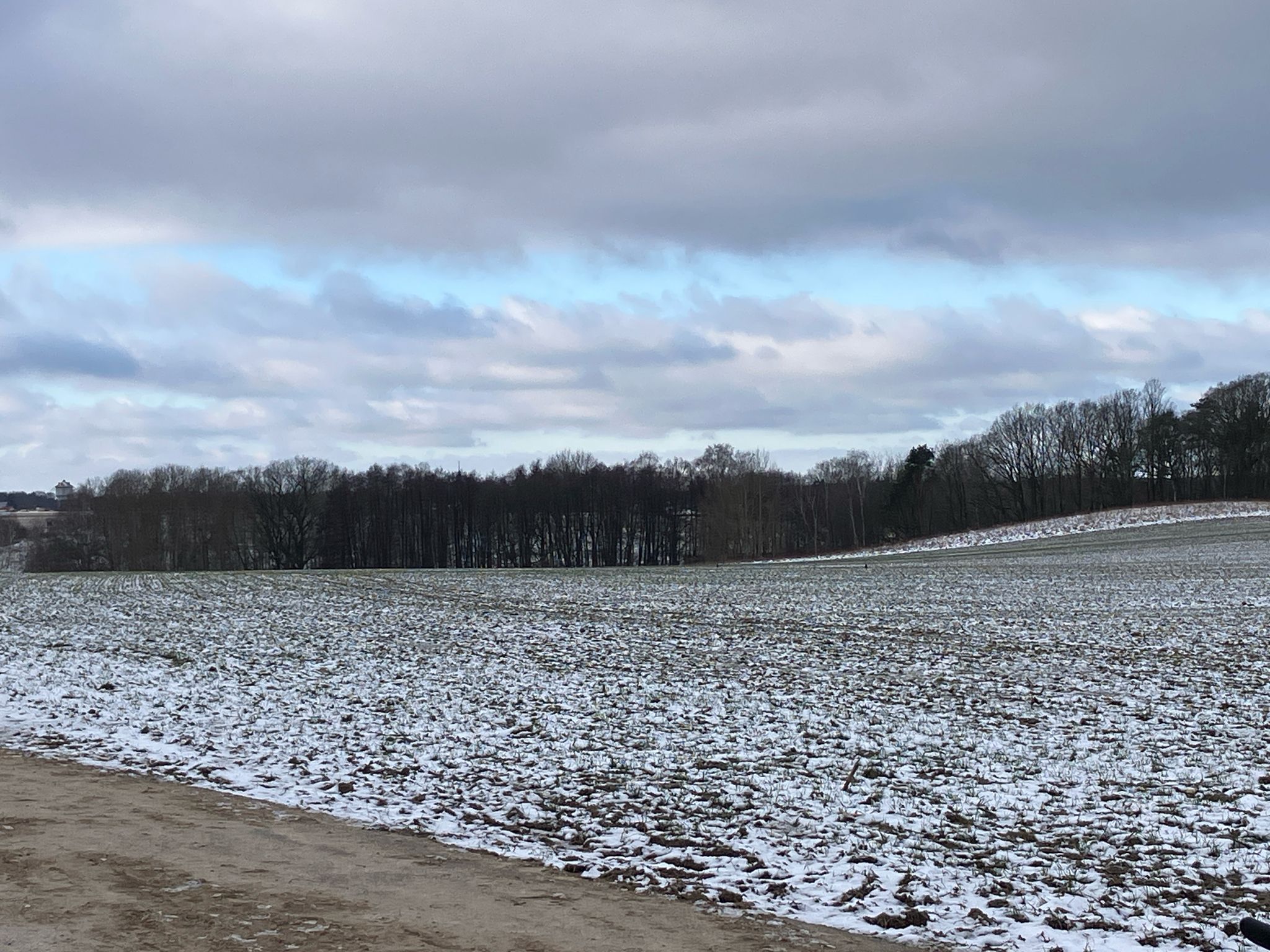 Blick Richtung Schleifreisen
