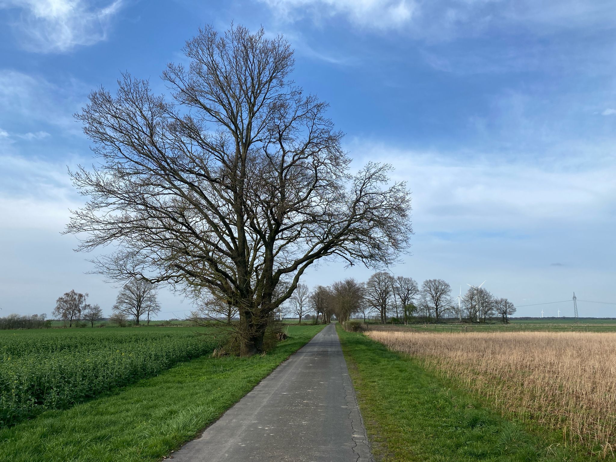 Schnelles Vorankommen auf gut ausbebautem Radweg