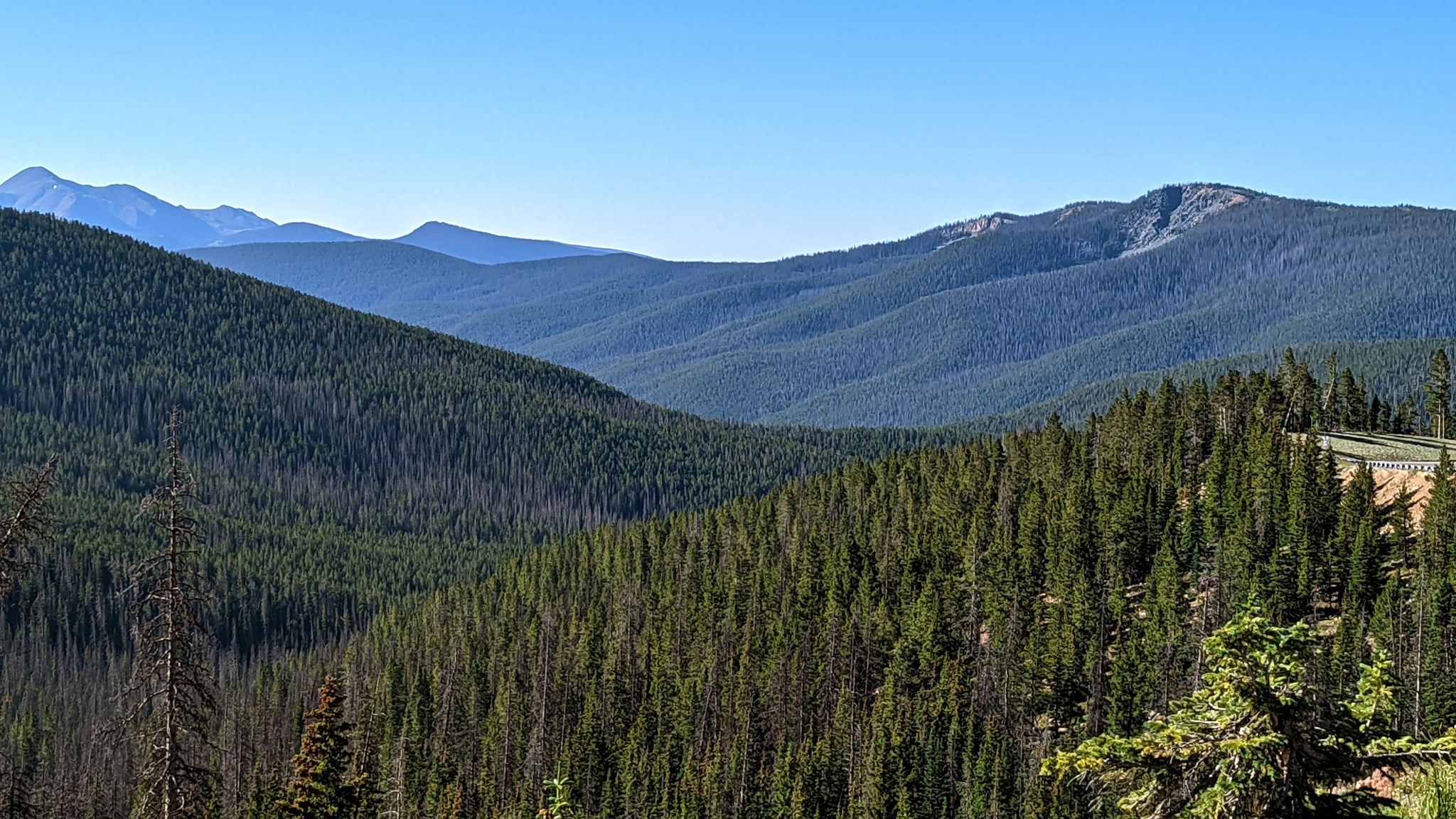 A panoramic view of dense evergreen forests covering rolling mountains under a clear sky. - Old Monarch Pass and Continental Divide Trail loop