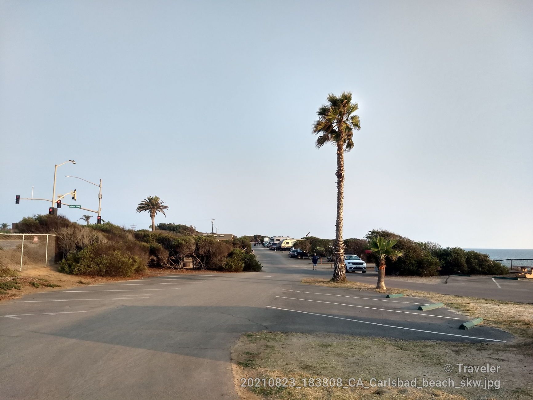 Coastal road with palm trees, parked RVs, and distant ocean under clear sky. - Hiking loop from Batiquitos Lagoon