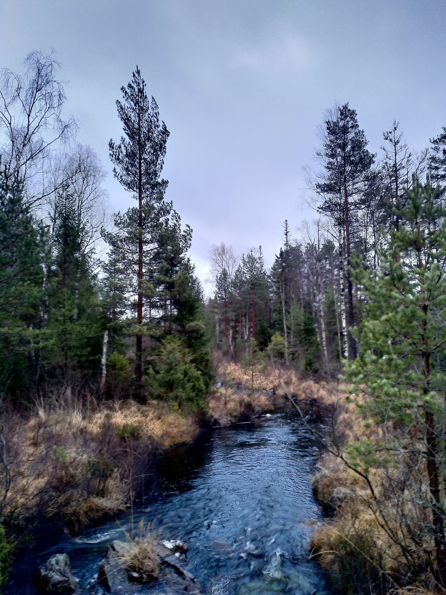 small stream