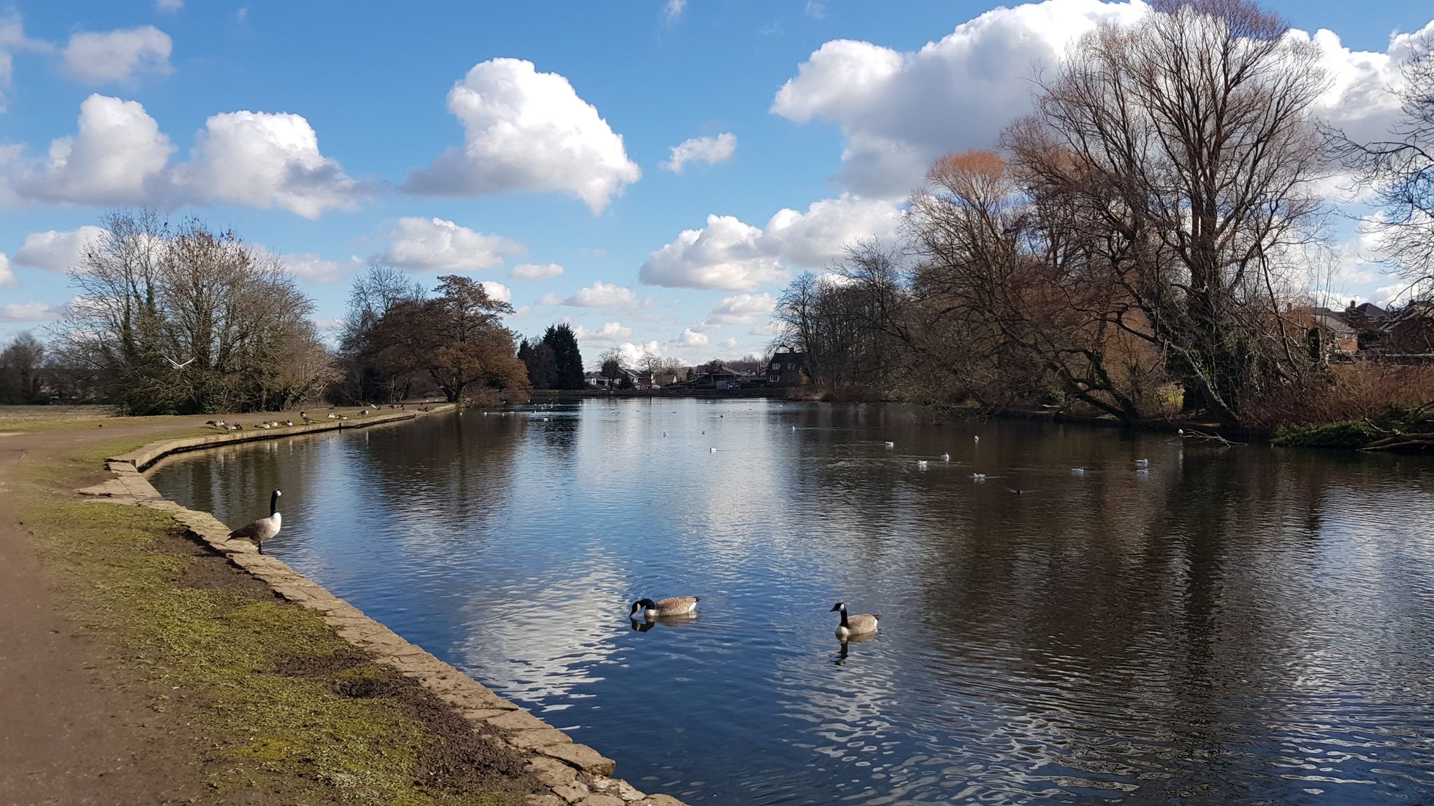 Walton Dam