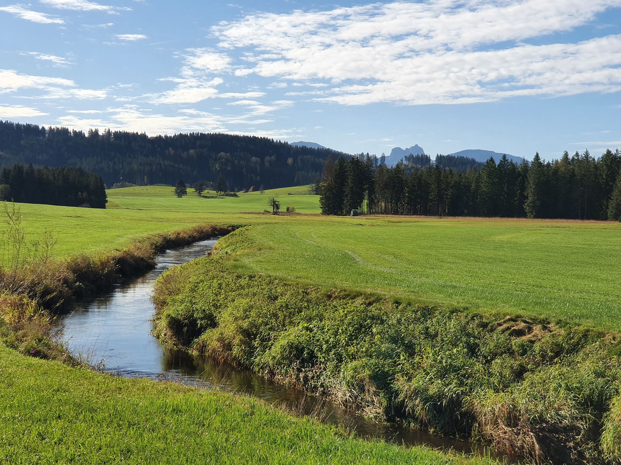 Lobach