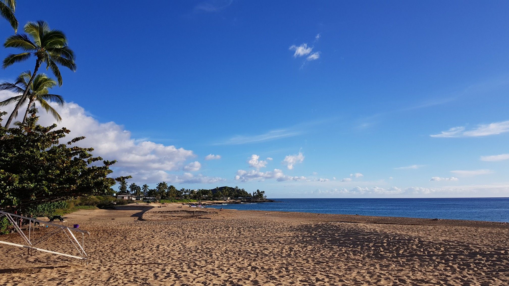 Sunny beach with palm trees, blue ocean, and clear sky. - Kaneana Cave via Farrington Highway