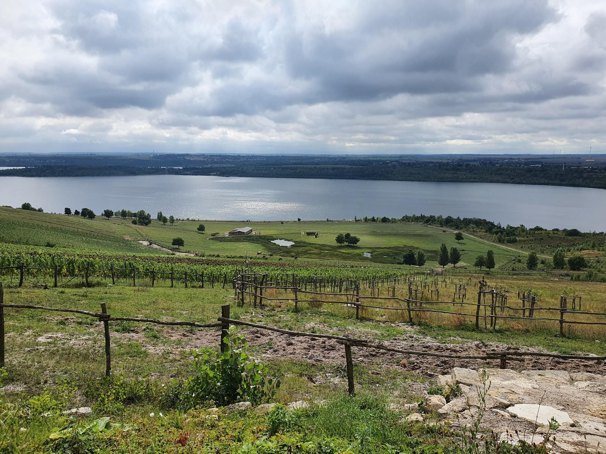 O que descobrir em Oranienbaumer Heide