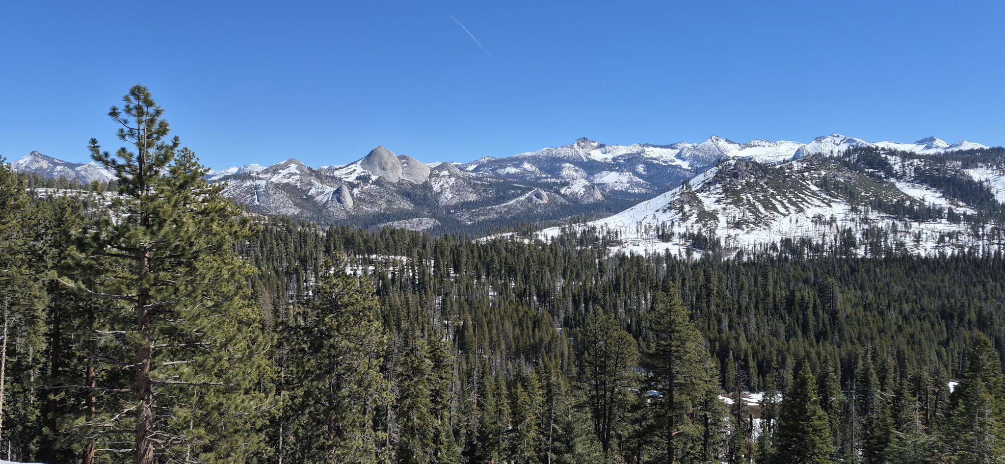 Snow-capped mountains and a prominent dome-shaped peak above a green forest. - From Wawona Hotel to Glacier Point