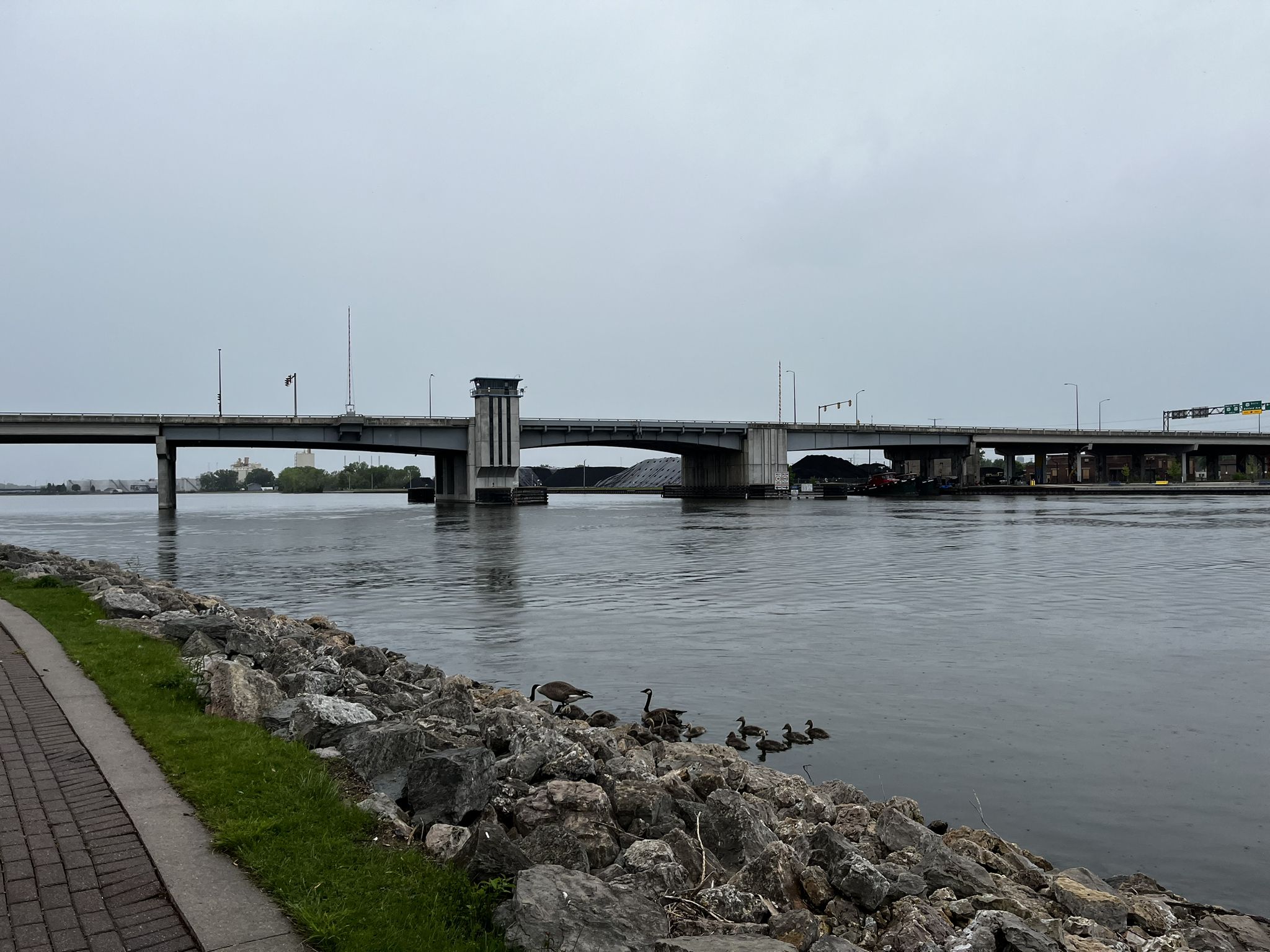 Large bridge spans dark water under an overcast sky, with ducks on rocks. - Fox River Trail – Downtown Green Bay loop from De Pere