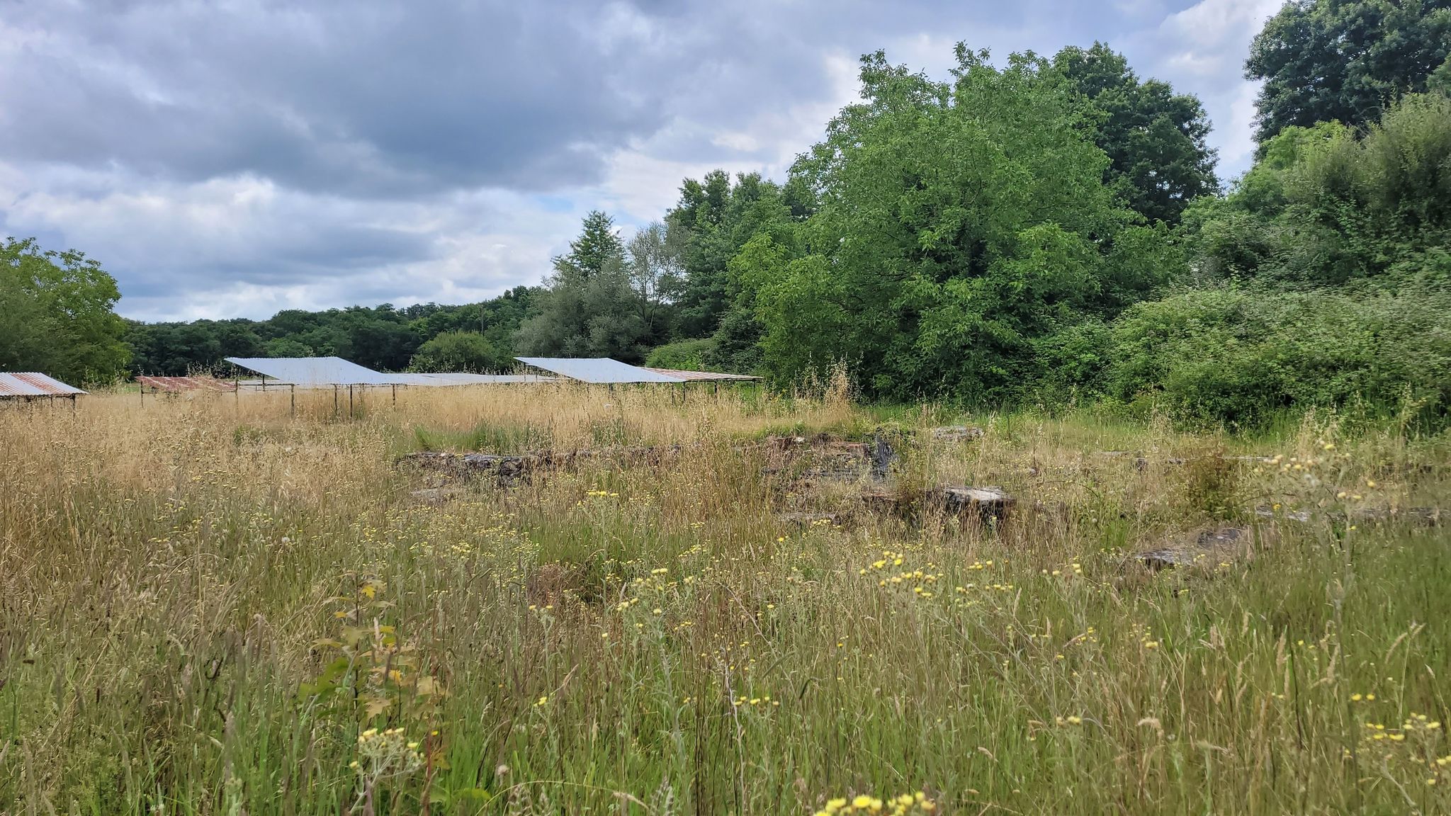Chantier de fouilles archéologiques