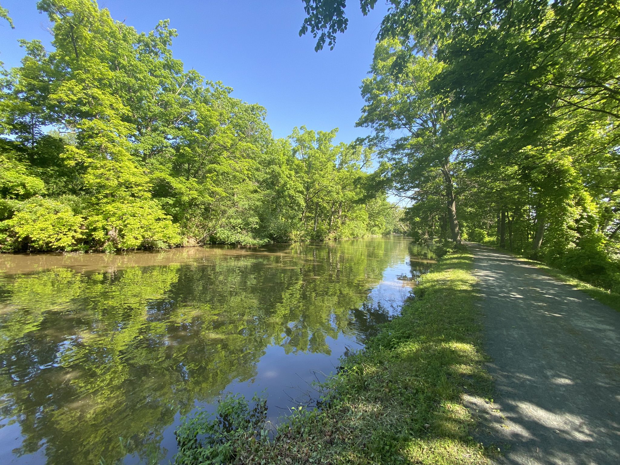 Sunny canal with lush green trees reflecting in calm water, dirt path alongside. - Peebles Island State Park – Champlain Canalway Trail loop from Mechanicville Hydroelectric Plant