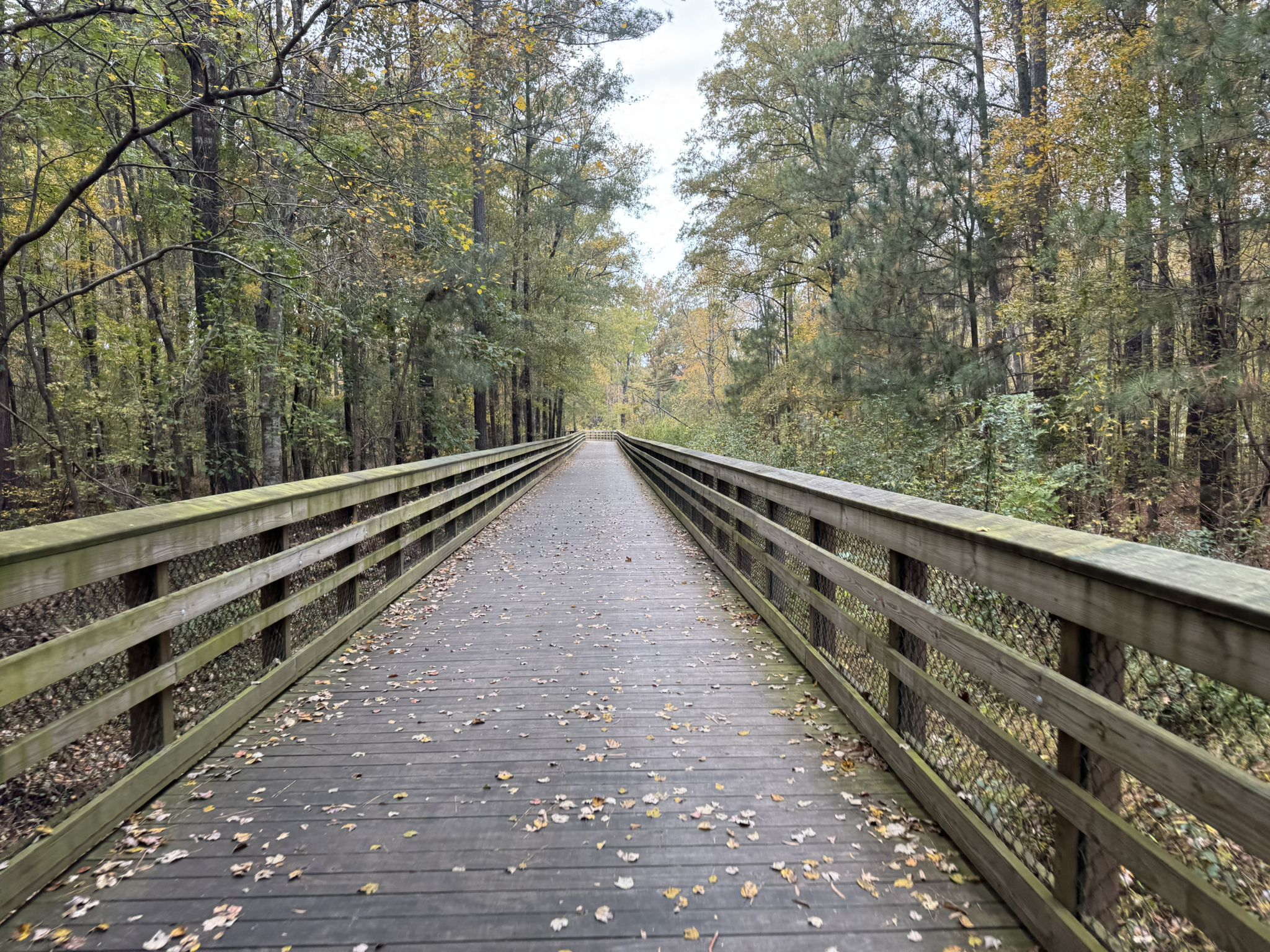 A long, straight wooden boardwalk with fallen leaves extends through an autumn forest. - White Oak Creek Greenway