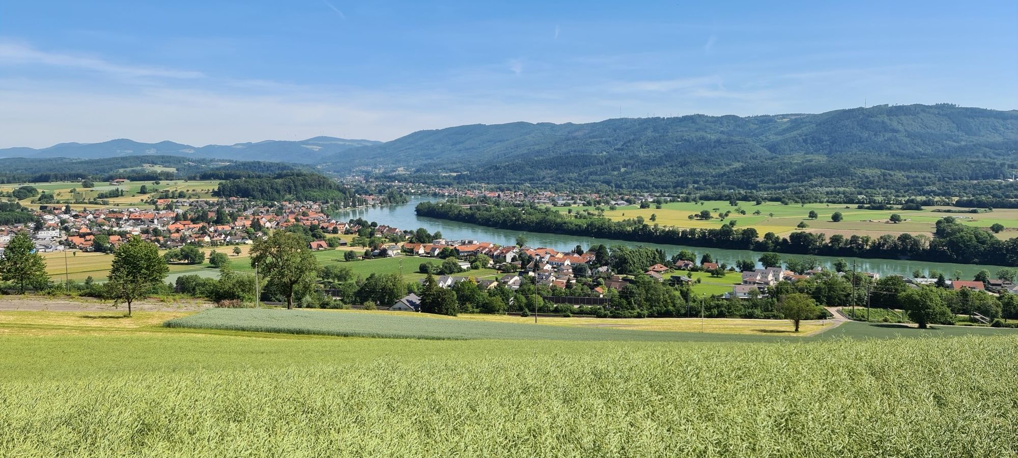Rheinblick
