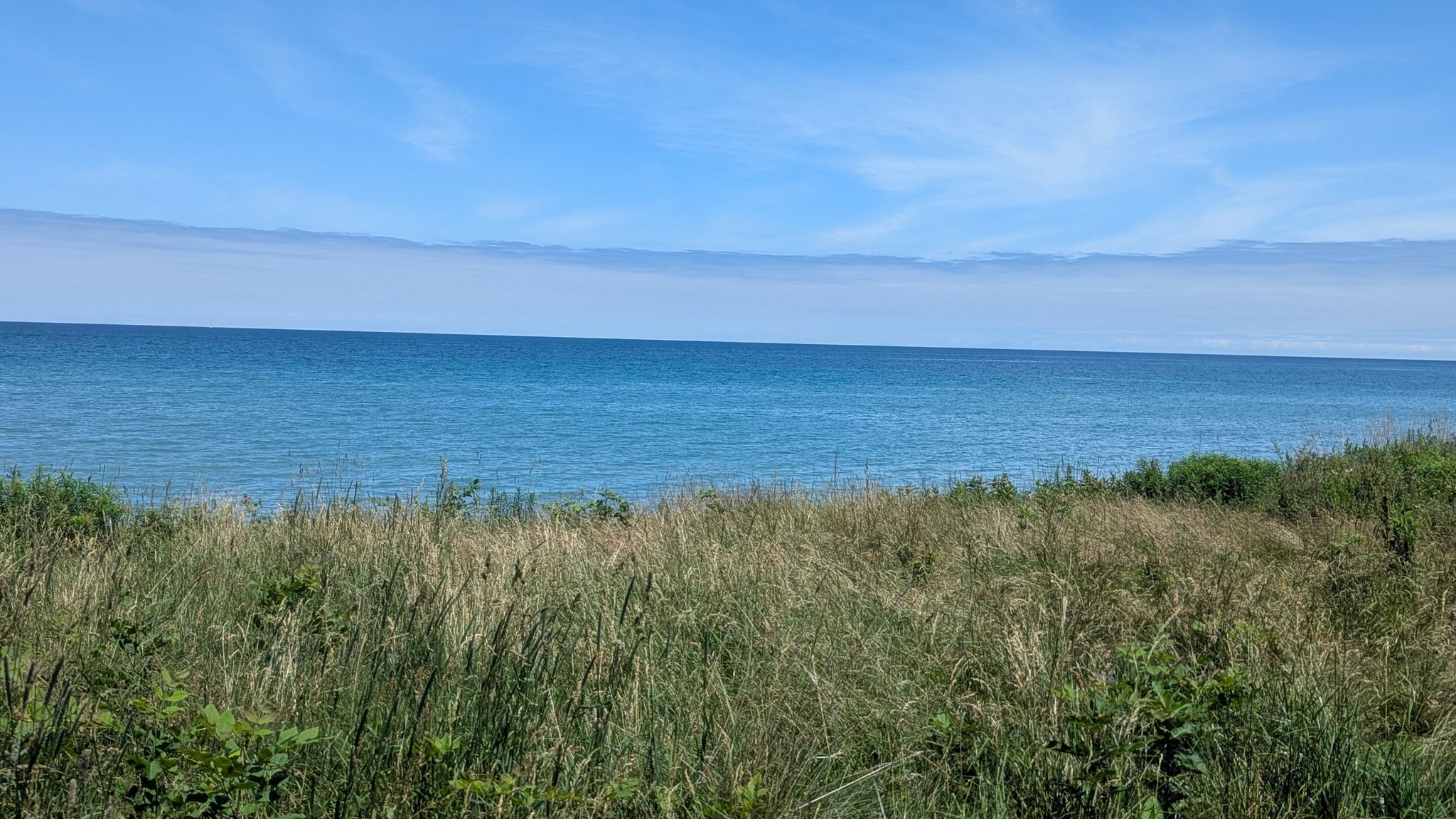 Tall green and brown grasses foreground a wide, calm blue body of water. - Chimney Bluffs loop from Chimney Bluffs State Park