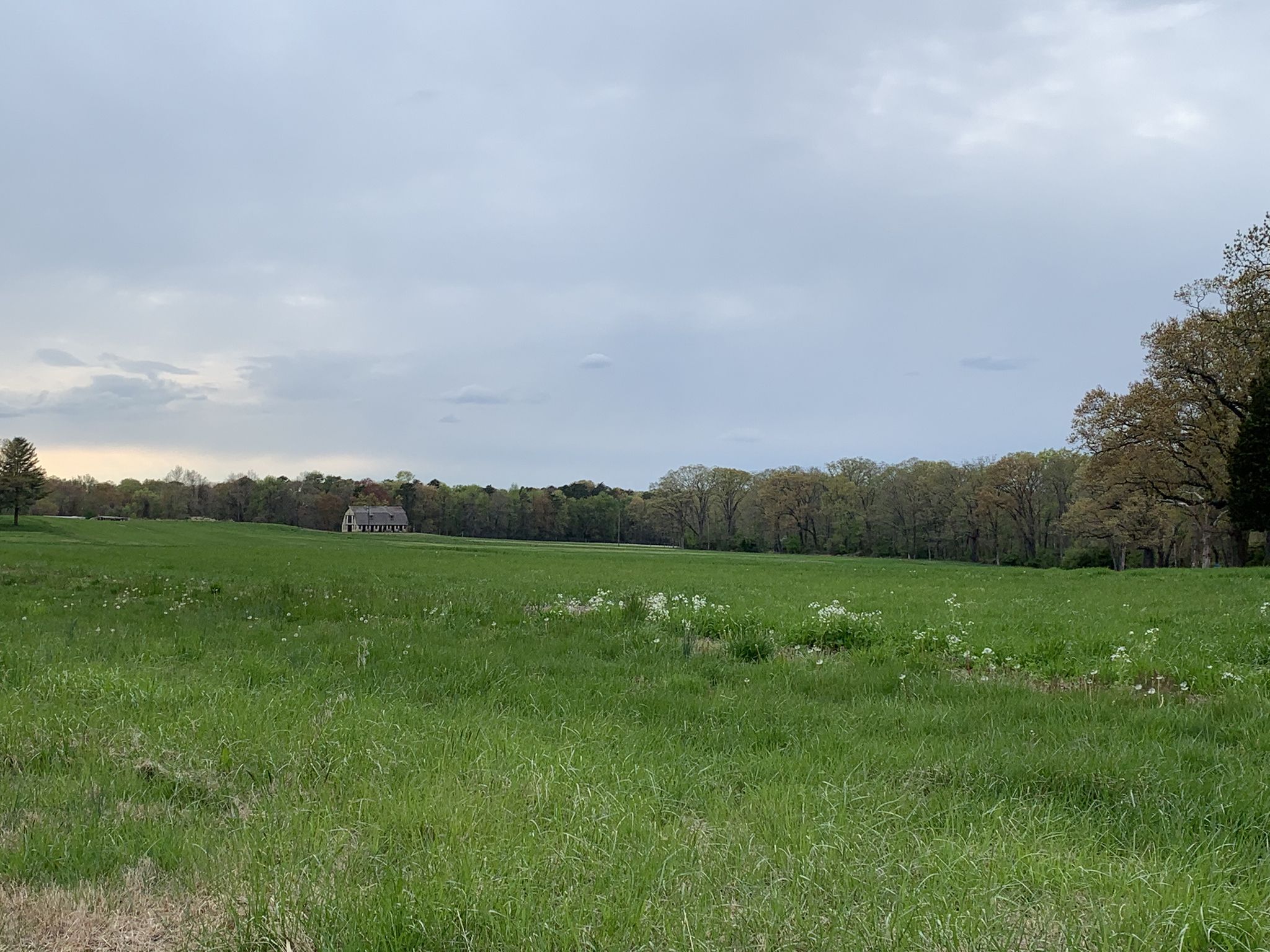 A vast green field under an overcast sky, with distant trees and a building. - Patuxent Research Refuge loop