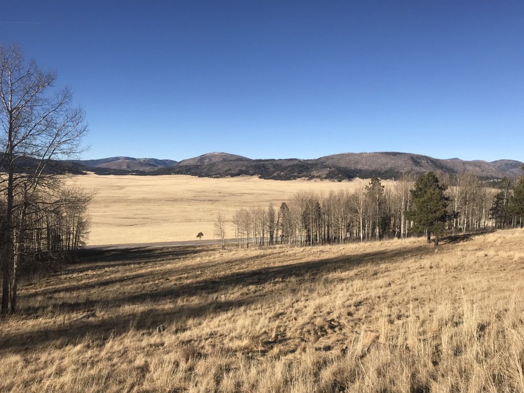Sunny wide view of a dry grass valley with trees and distant mountains. - Coyote Call Trail