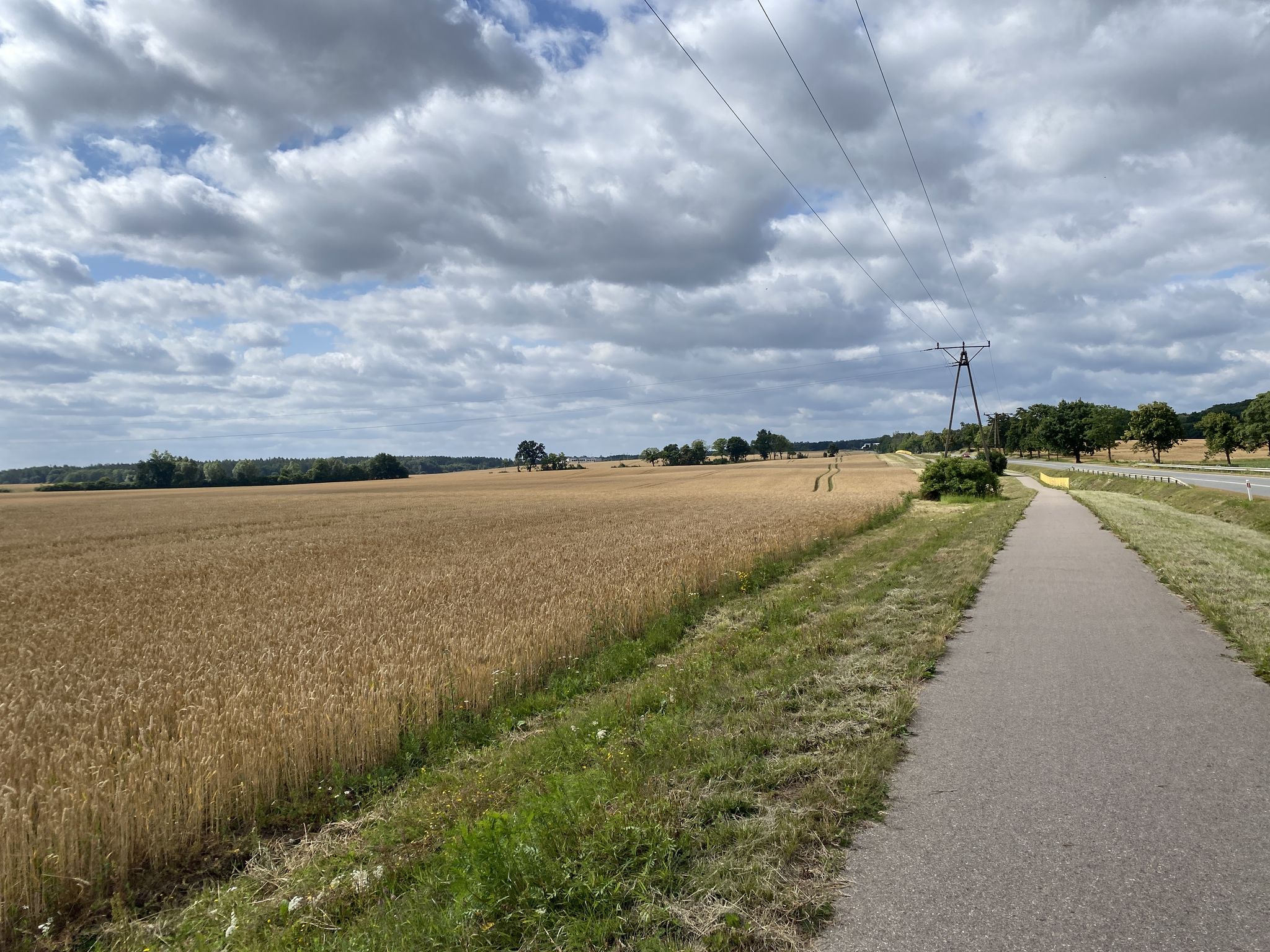 Dobrej jakości ścieżka rowerowa.
