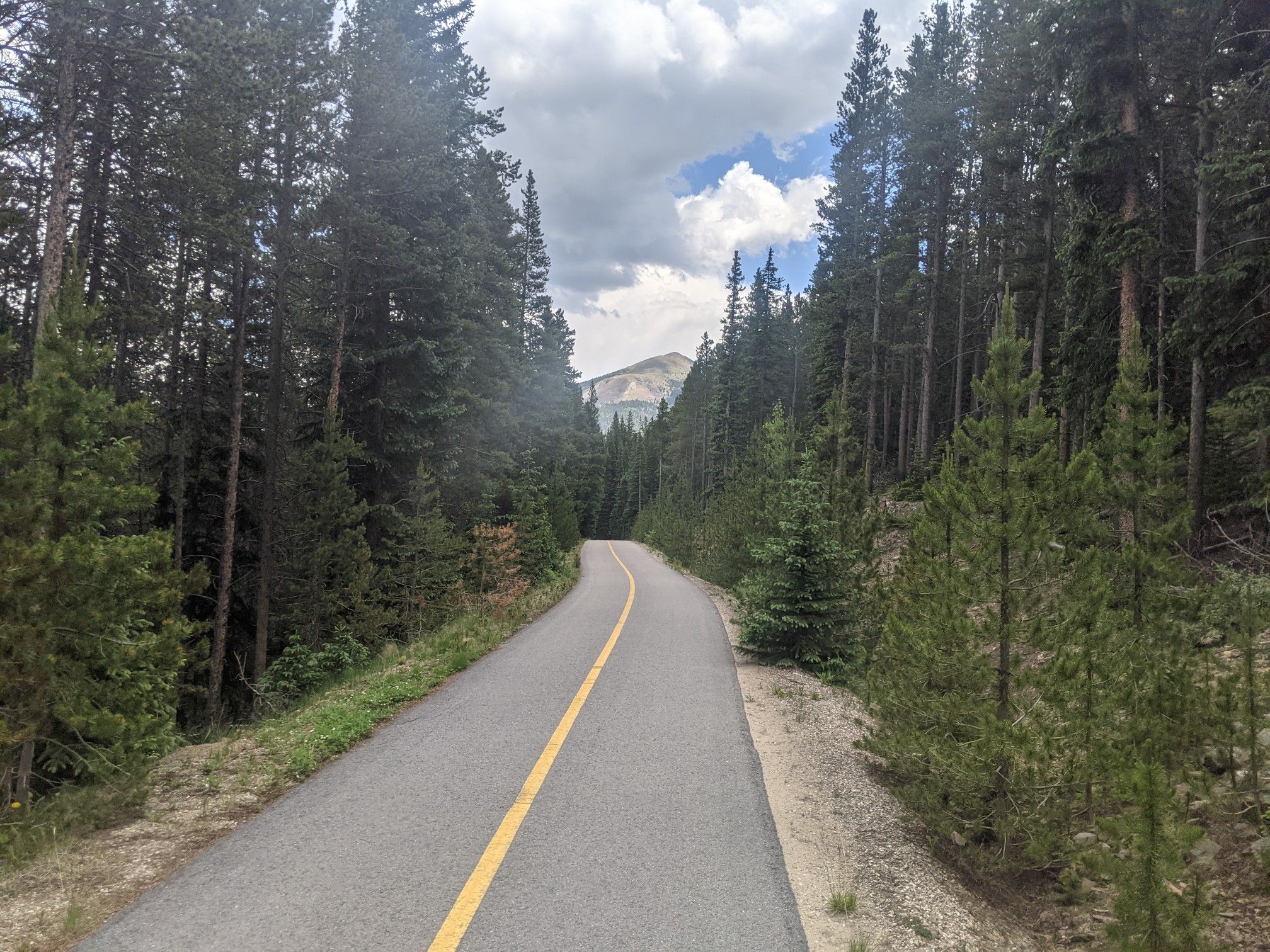 Paved road through tall pine trees leading to a distant mountain under cloudy sky. - Roadbike loop from Clear Creek