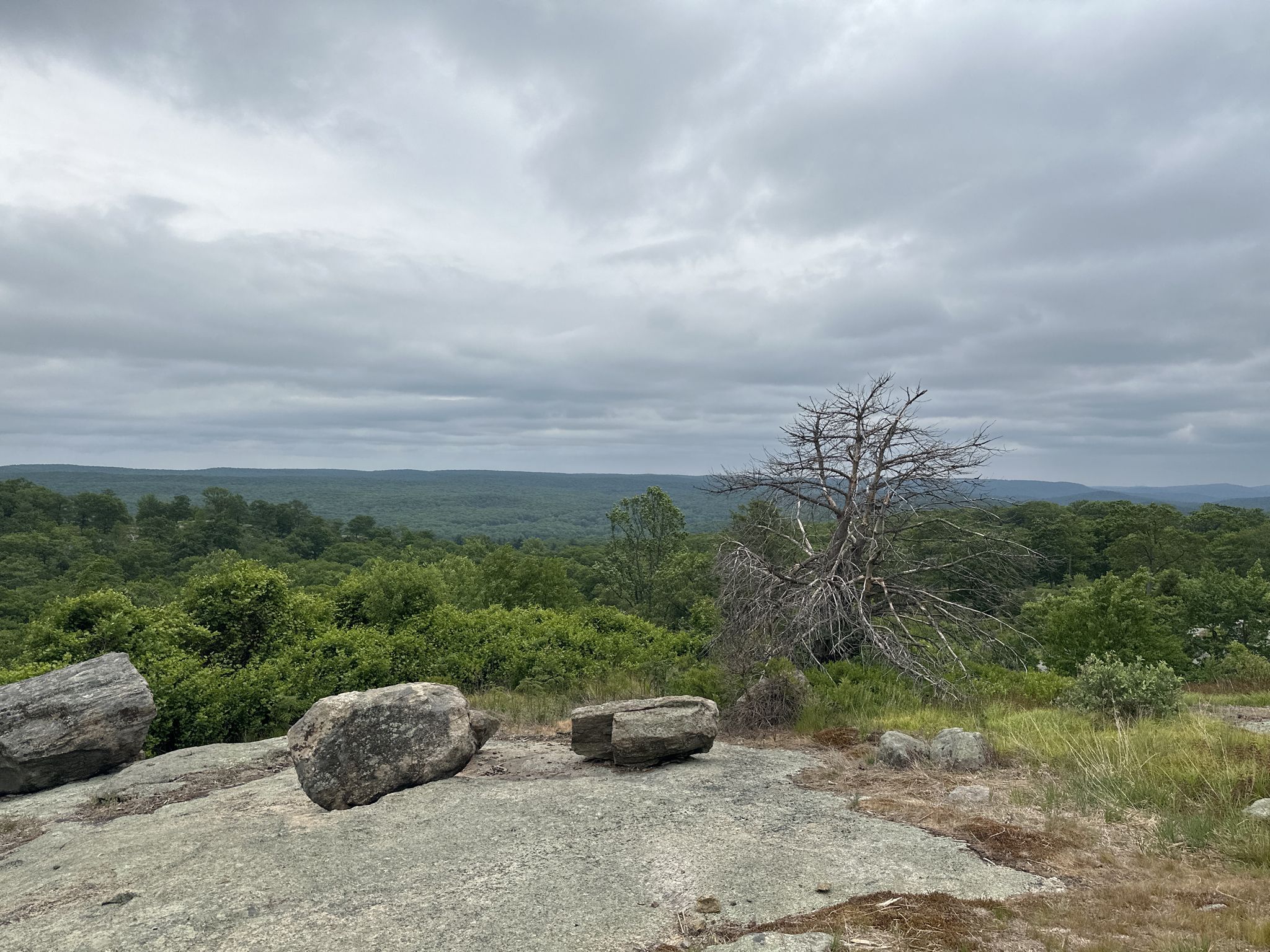 Overcast view of a vast green forest from a rocky overlook. - Appalachian, Ramapo-Dunderberg, Dunning, and Arden-Surebridge Trail