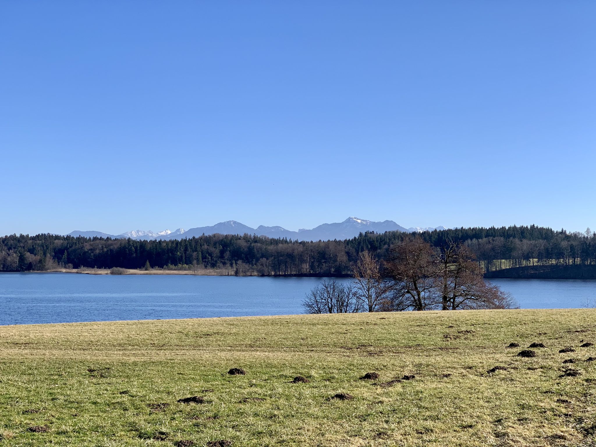 Pelhamer See