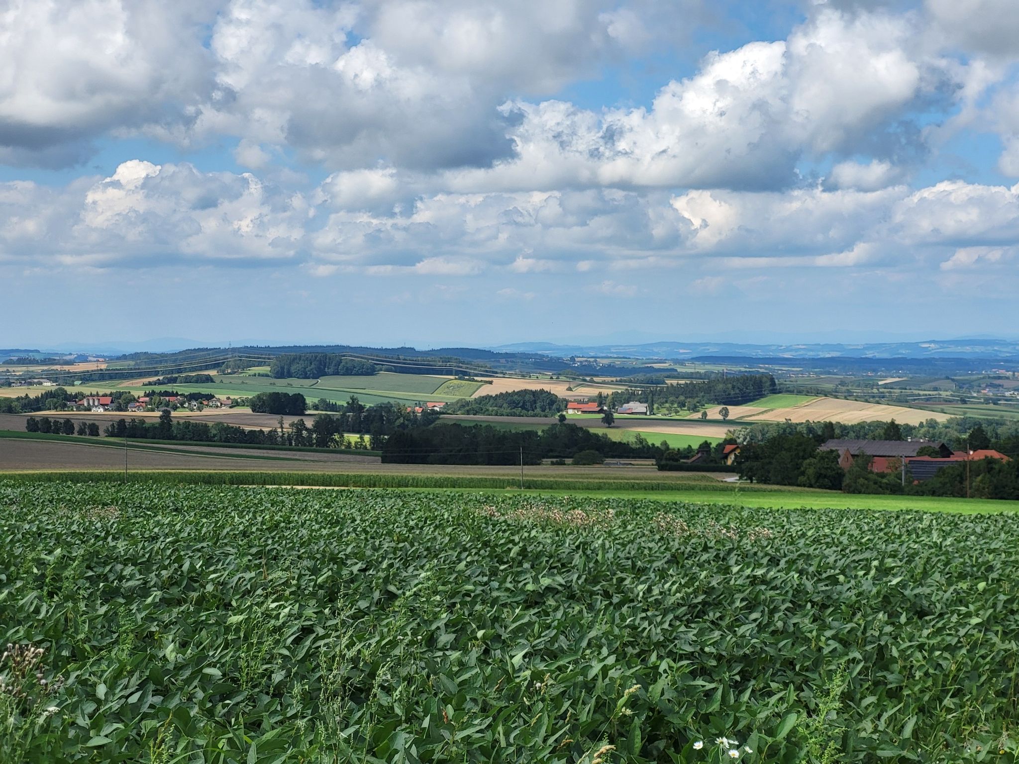 Weitblick von Schernham