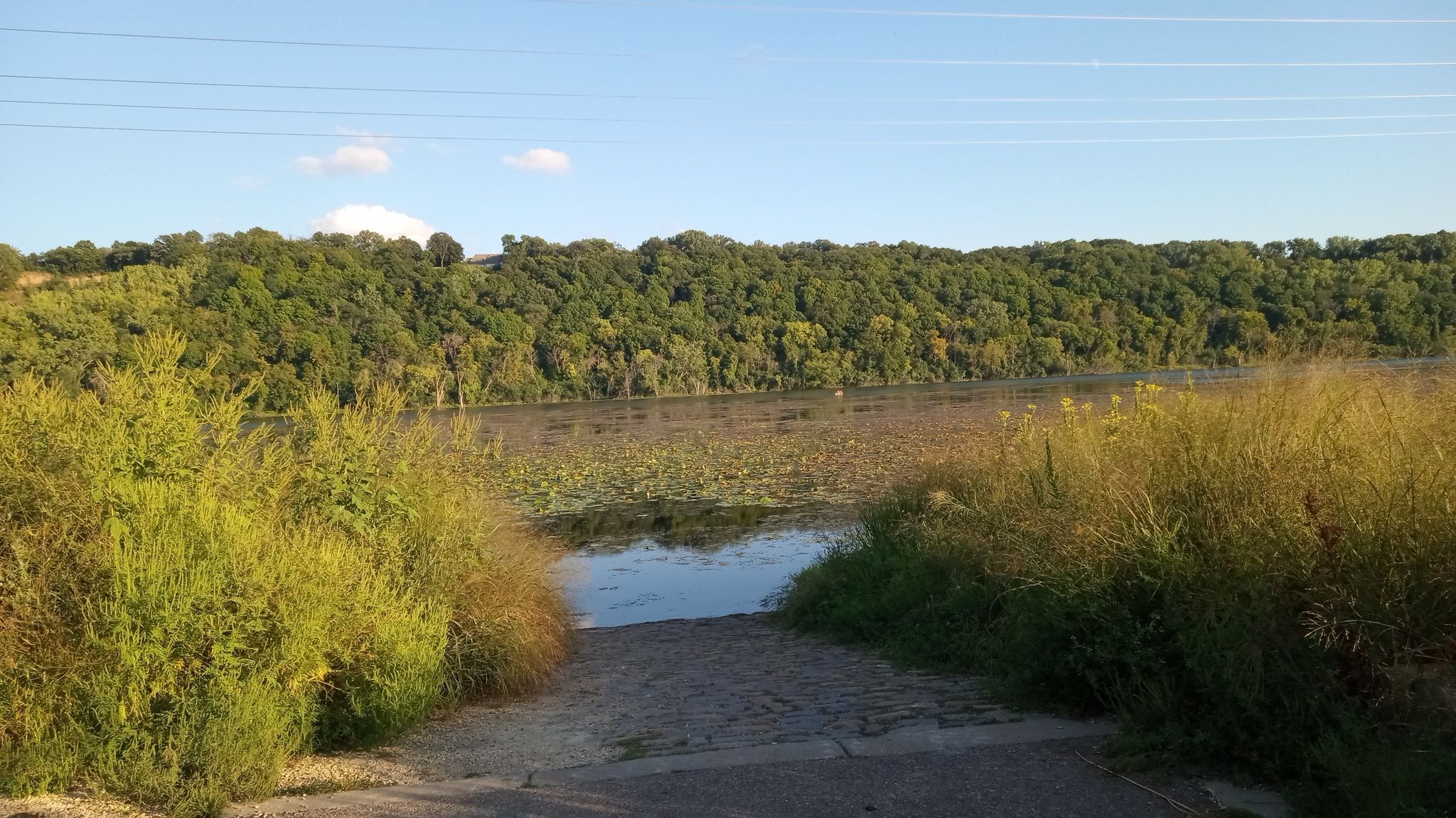 Boat ramp leading to water, surrounded by green bushes and distant trees. - Pickerel Lake loop from Lilydale