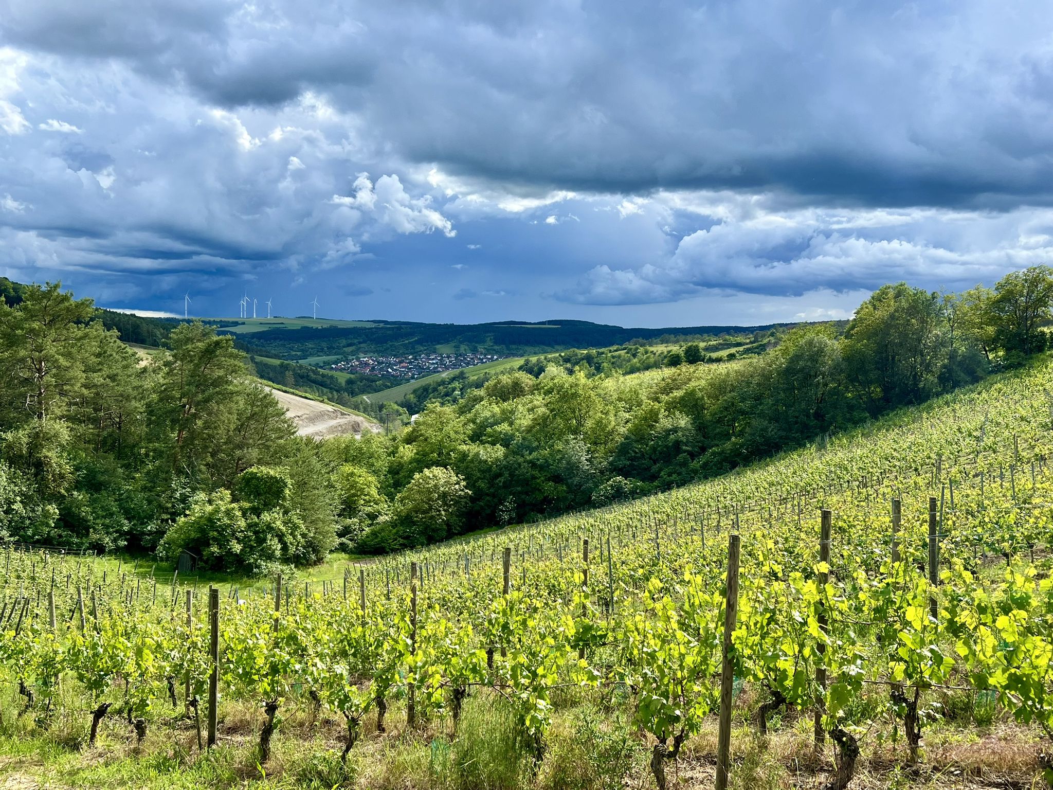 Blick auf Erlabrunn