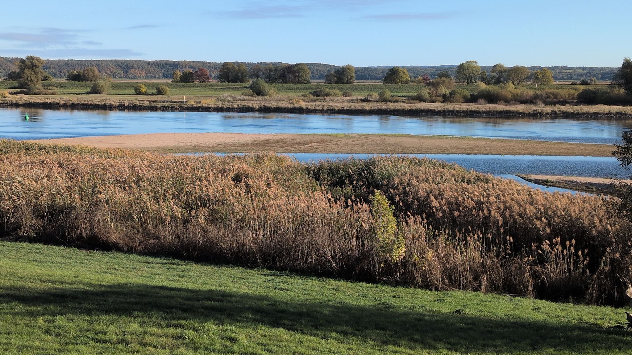 Sandbank in der Oder bei Hohensaaten 