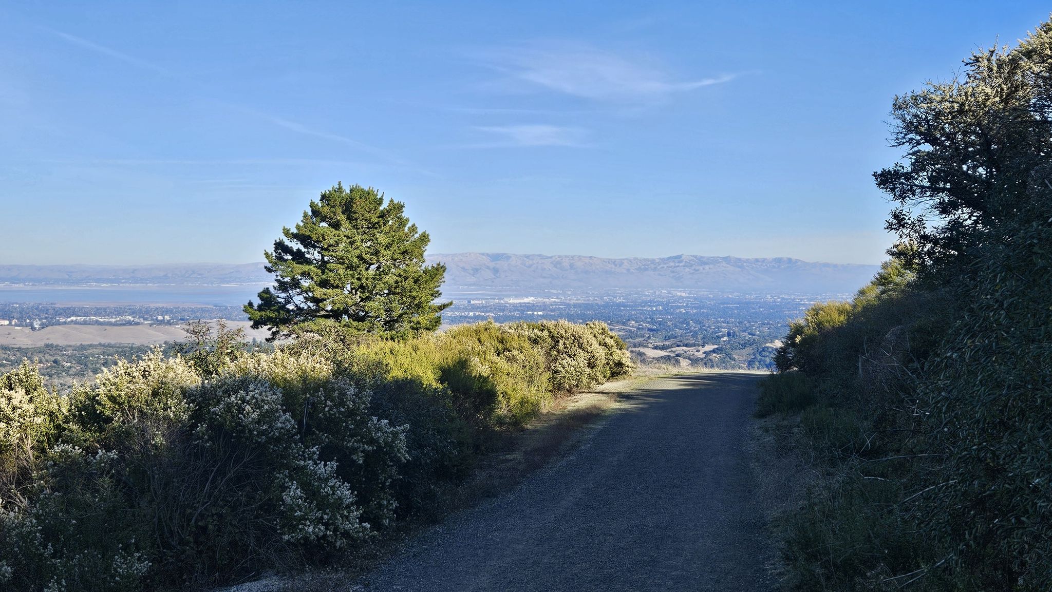 Dirt path descending towards a distant city view under a clear sky. - Hamms Gulch to Spring Ridge Loop
