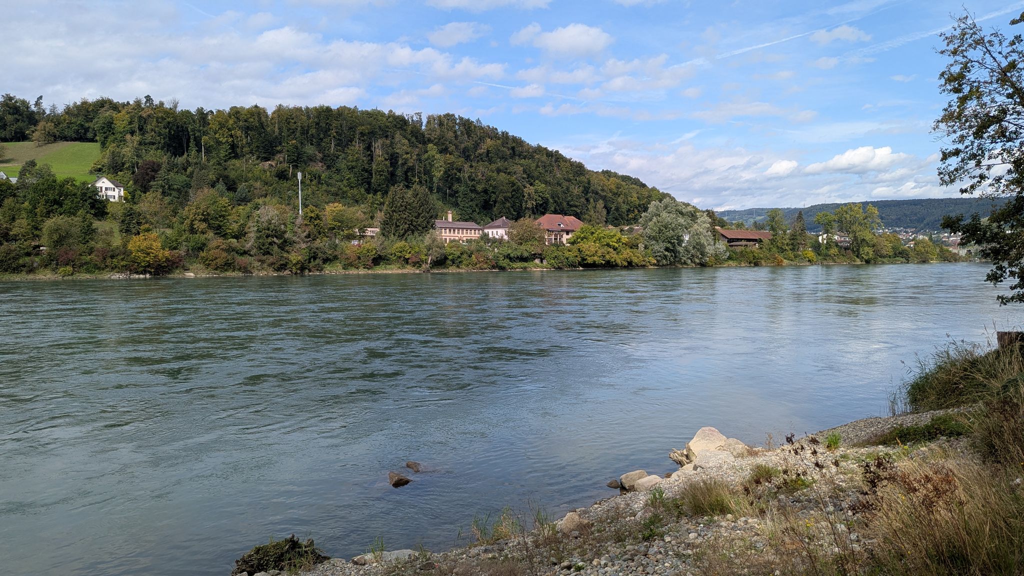 die Aare kurz vor der Mündung in den Rhein