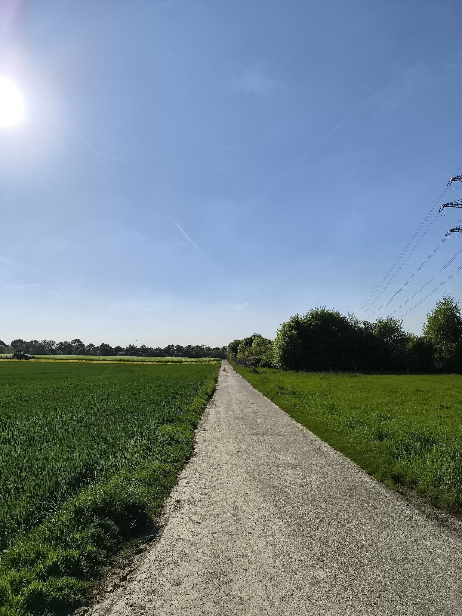 Traumhafter Feldweg zum peesen