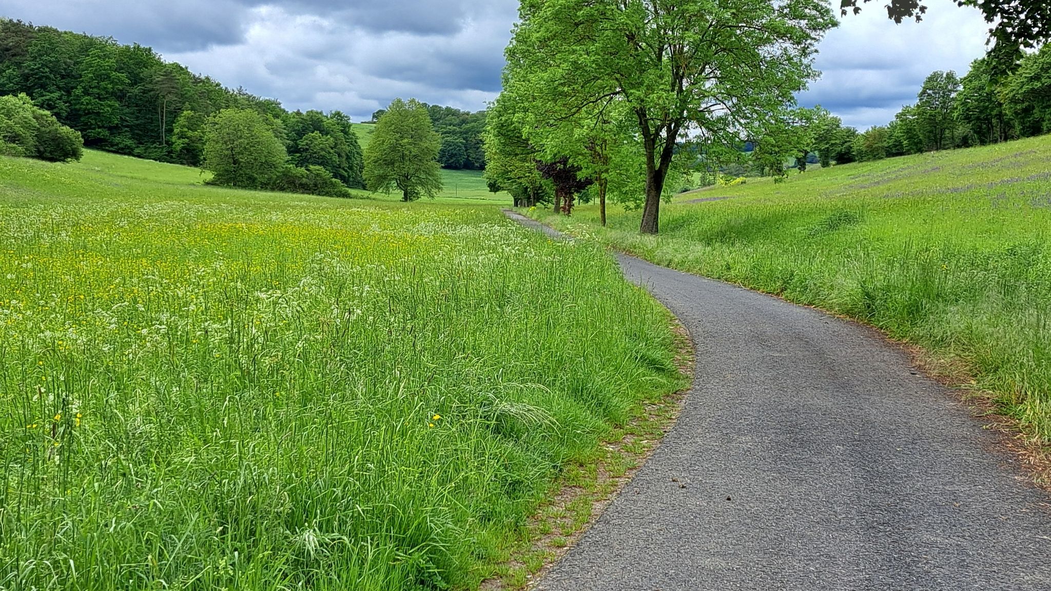 Ober - Unterallertheim