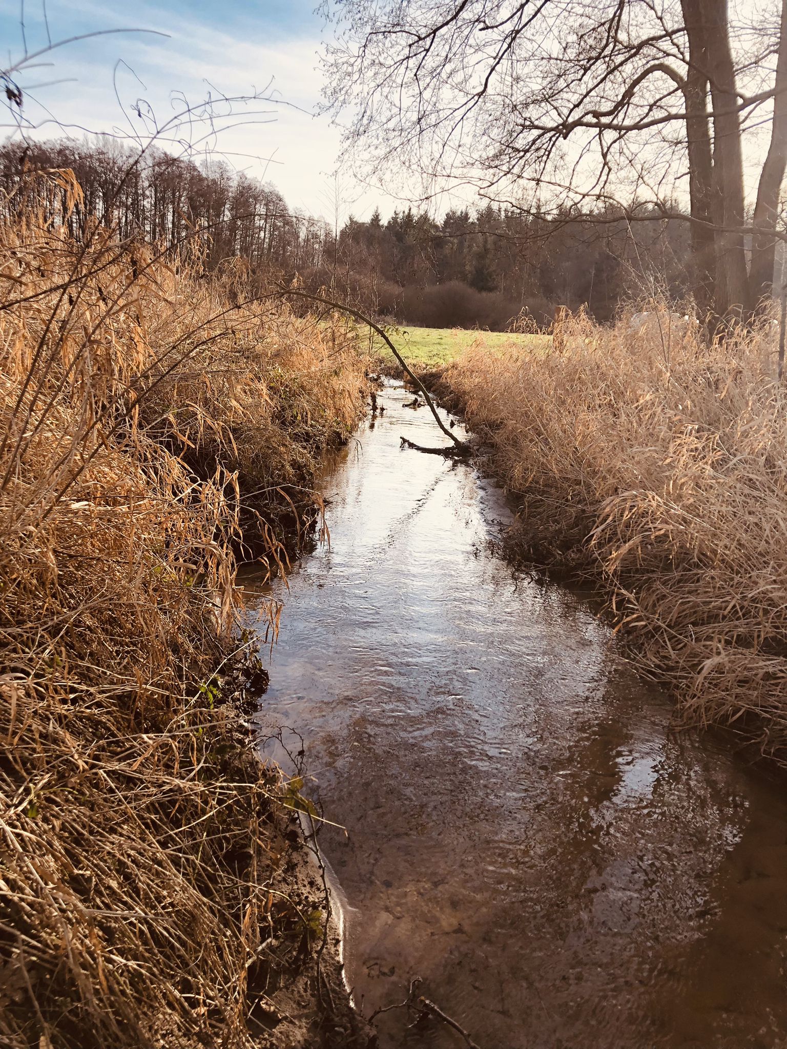 Südergellerser Bach