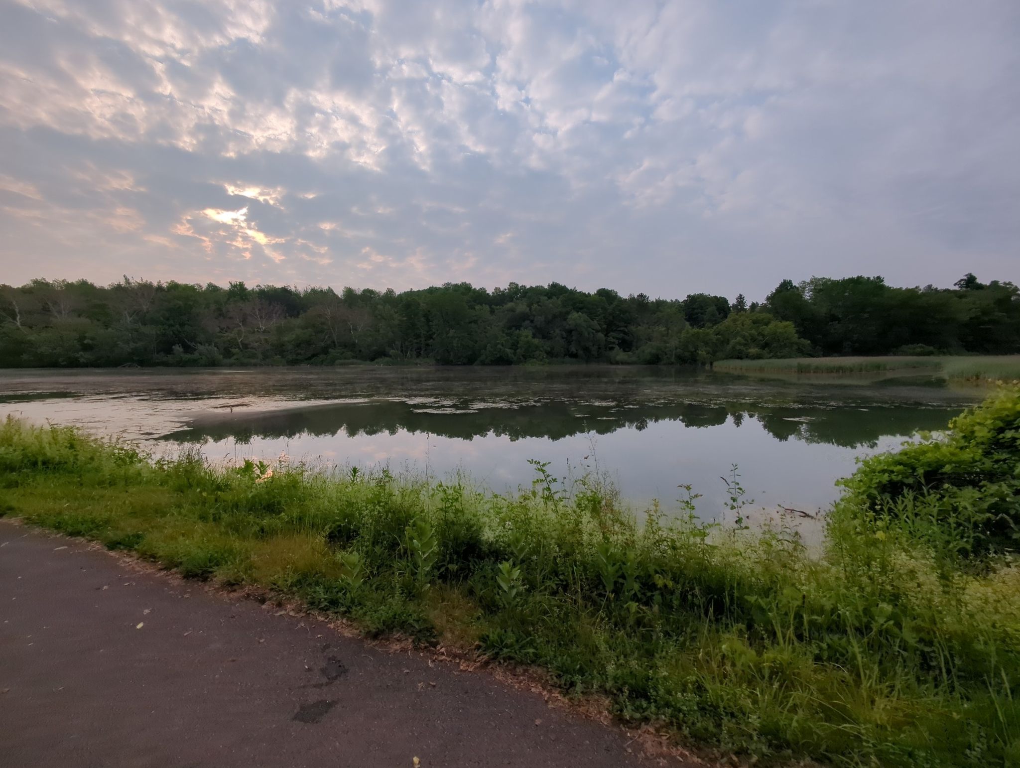 Calm lake surrounded by green trees and grass under a cloudy sky. - Erie Canalway Trail – Erie Canalway Trail loop from Syracuse