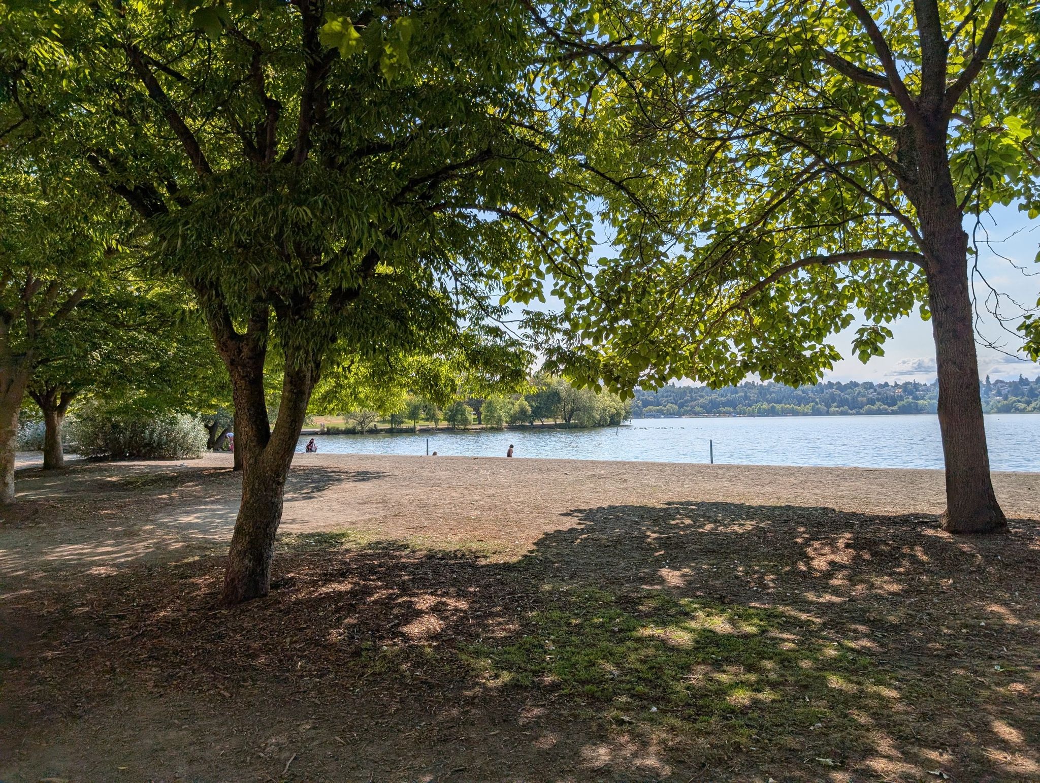Shady beach with trees, people by the water under bright sunlight. - Green Lake Aqua Theater – Green Lake Park loop from Shoreline