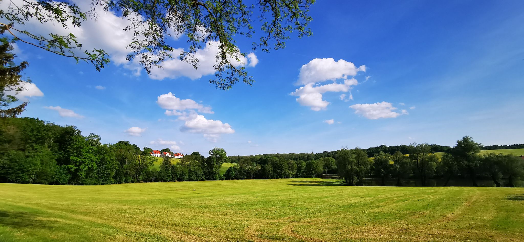 Blick Richtung Bernhardisiedlung