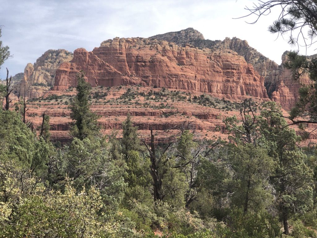 Majestic red rock cliffs rise above a dense green forest under a cloudy sky. - View of The Fin – Brins Mesa Trailhead loop from Sedona