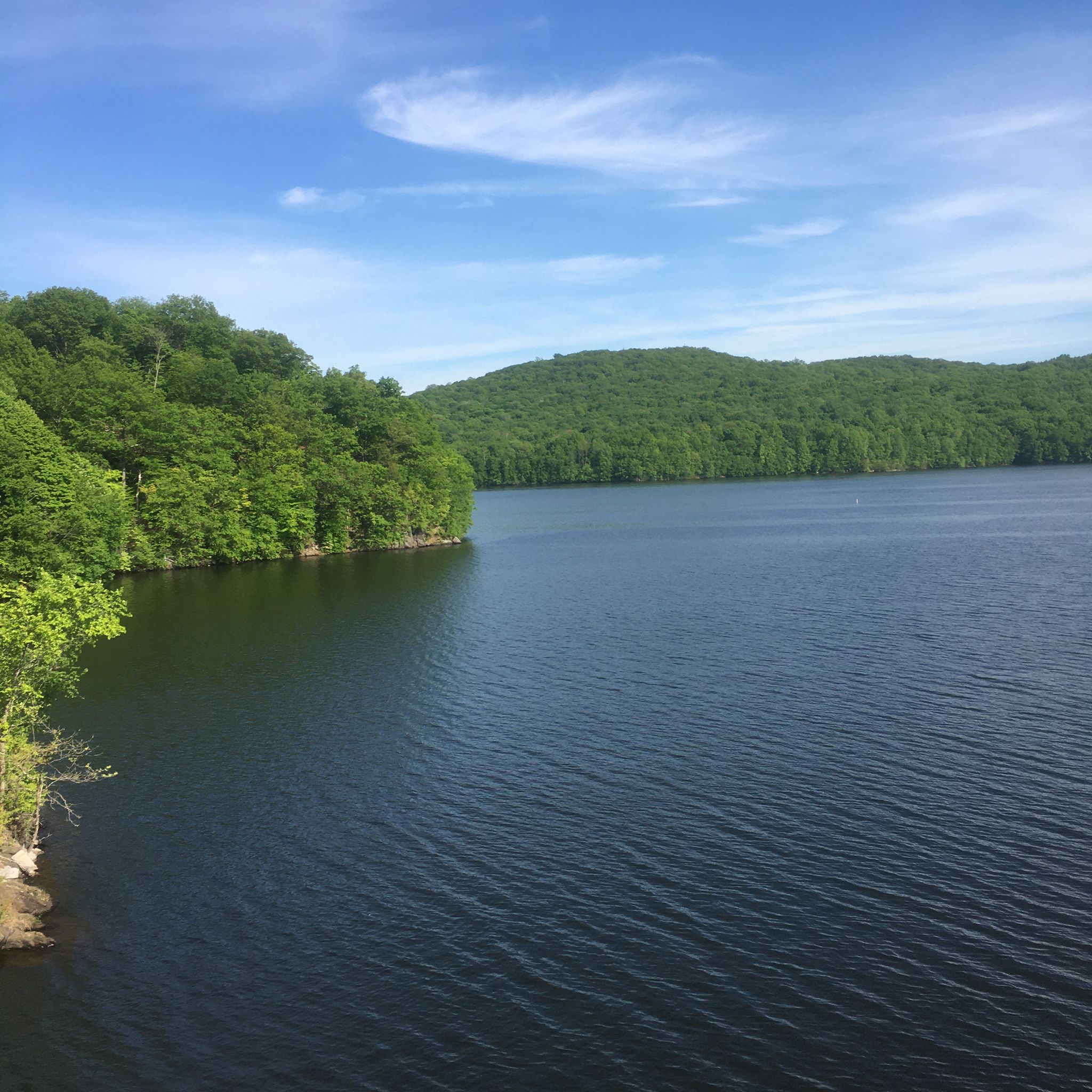 Wide lake with green forested hills under a bright blue sky. - North County Trailway and Croton Reservoir Loop
