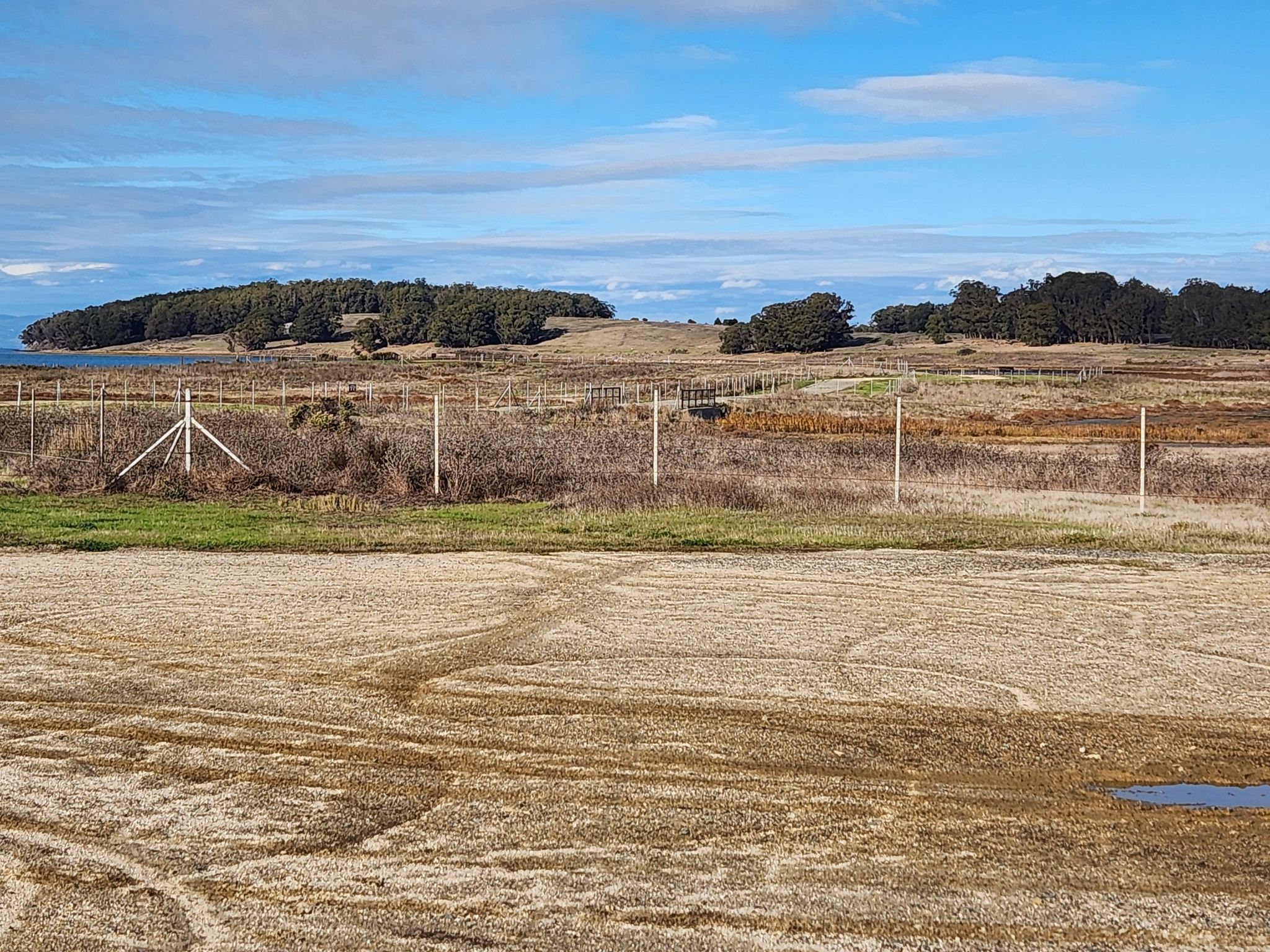 Expansive dry field with fences and distant tree-covered hills under a cloudy sky. - China Clipper Spur and Cordgrass Jetty Trail