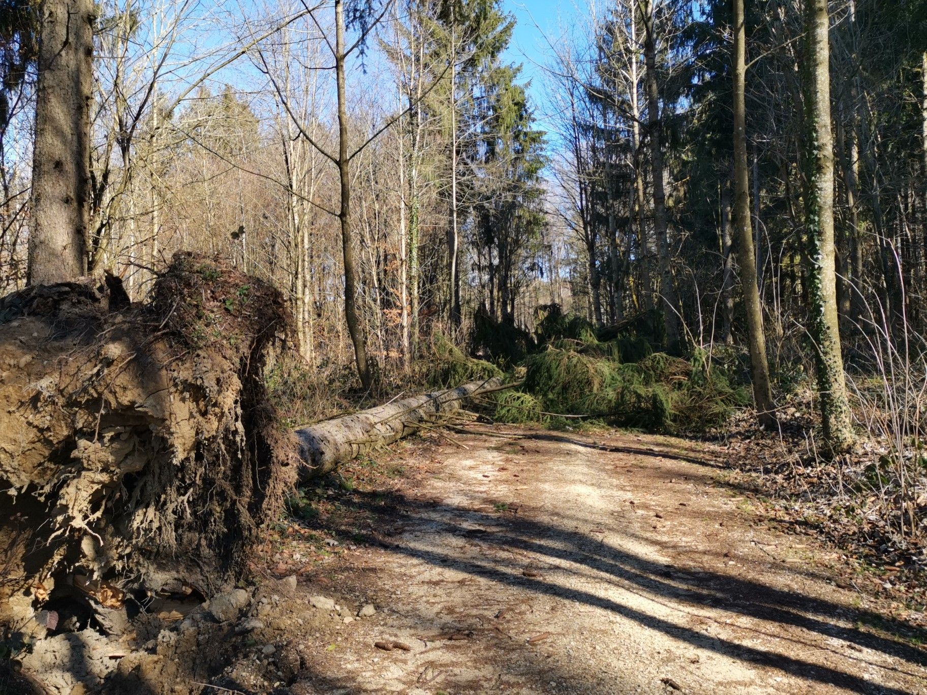 Sturm 'Sabine' hat gewütet und Spuren hinterlassen