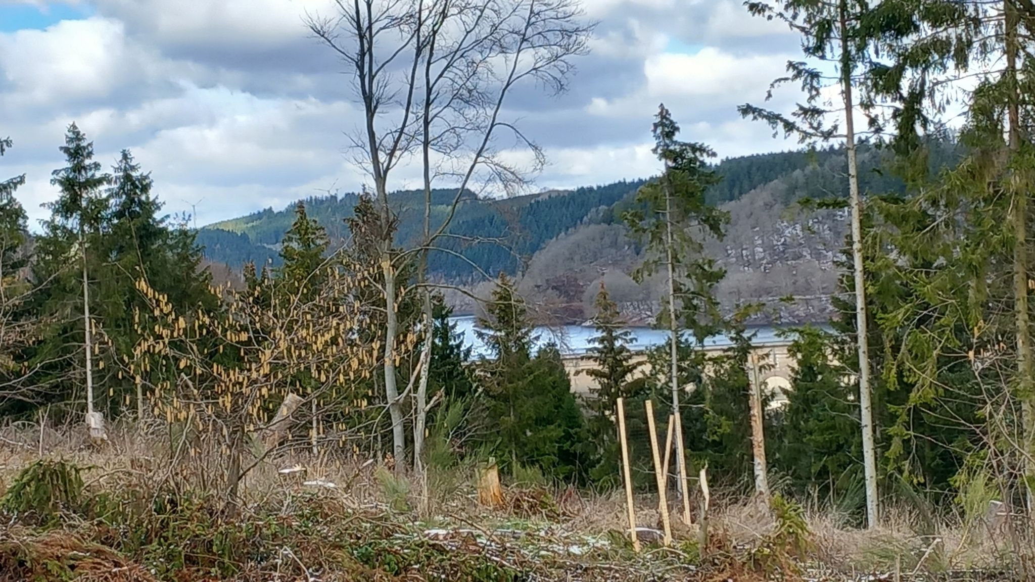 Blick auf die Oleftalsperre und Staumauer