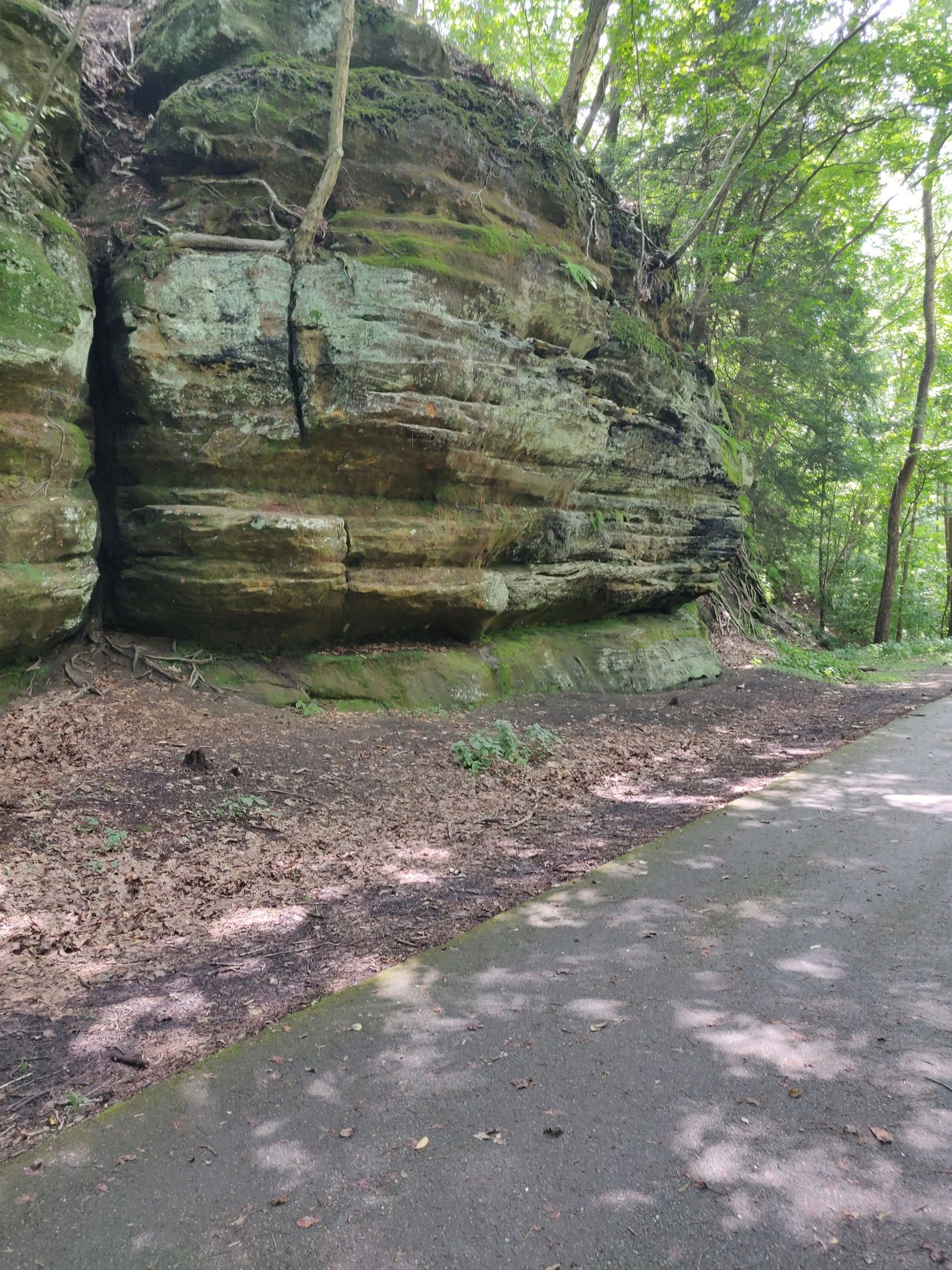 Mossy rock cliff beside a paved path in a sunlit forest. - Blackhand Gorge Trail