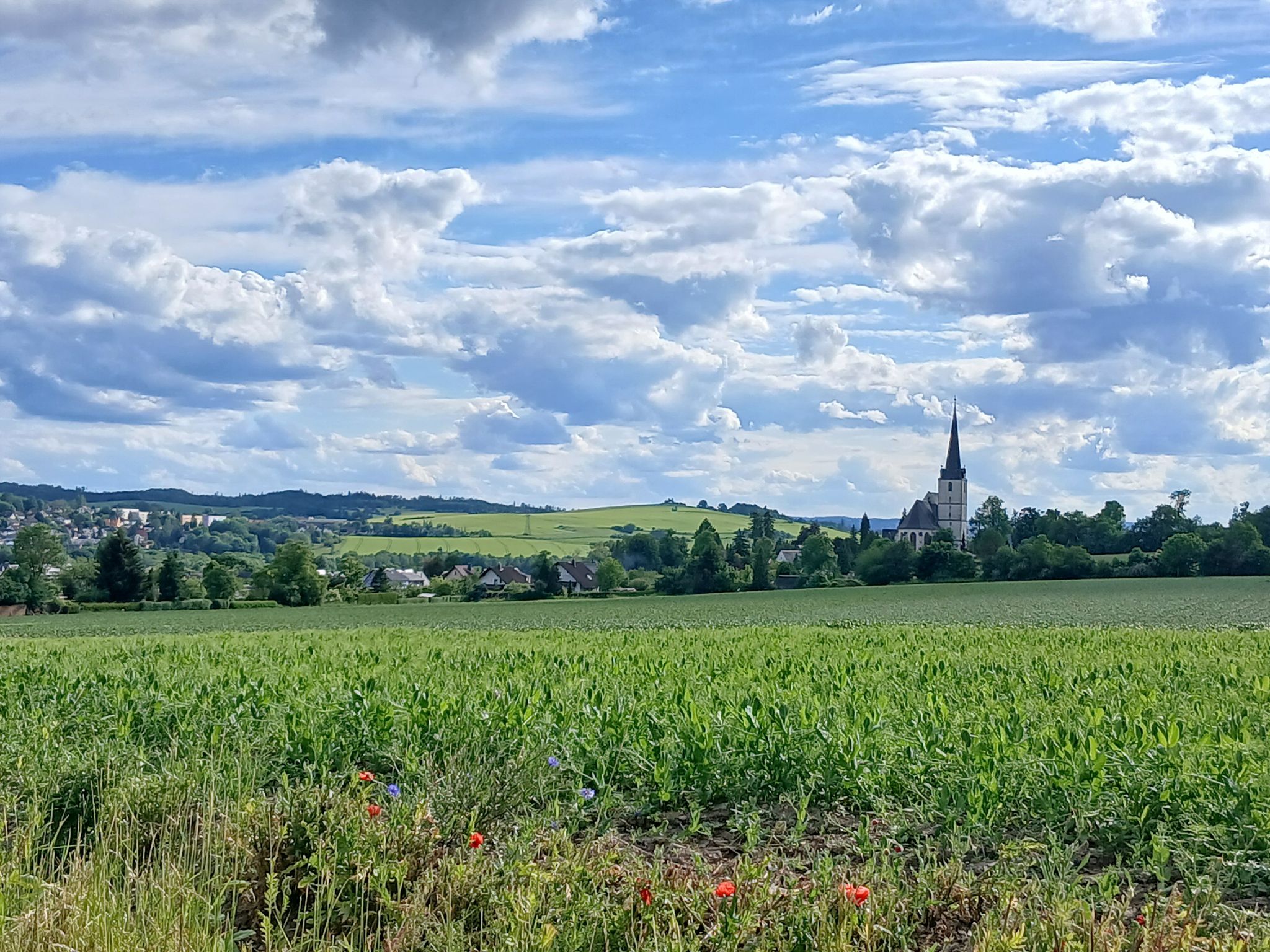 Blick auf Schleiz