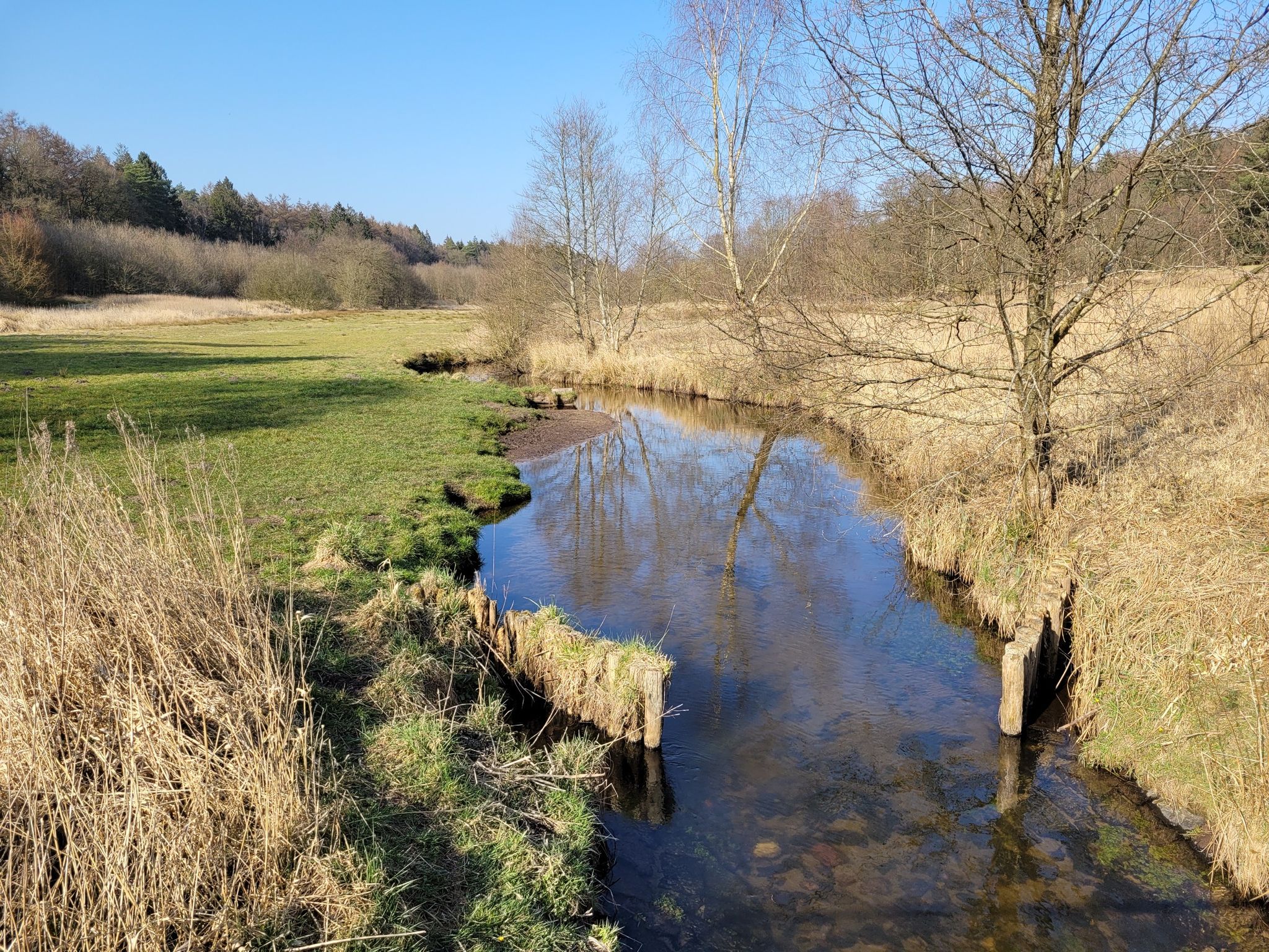 Und nochmal die Ranzau