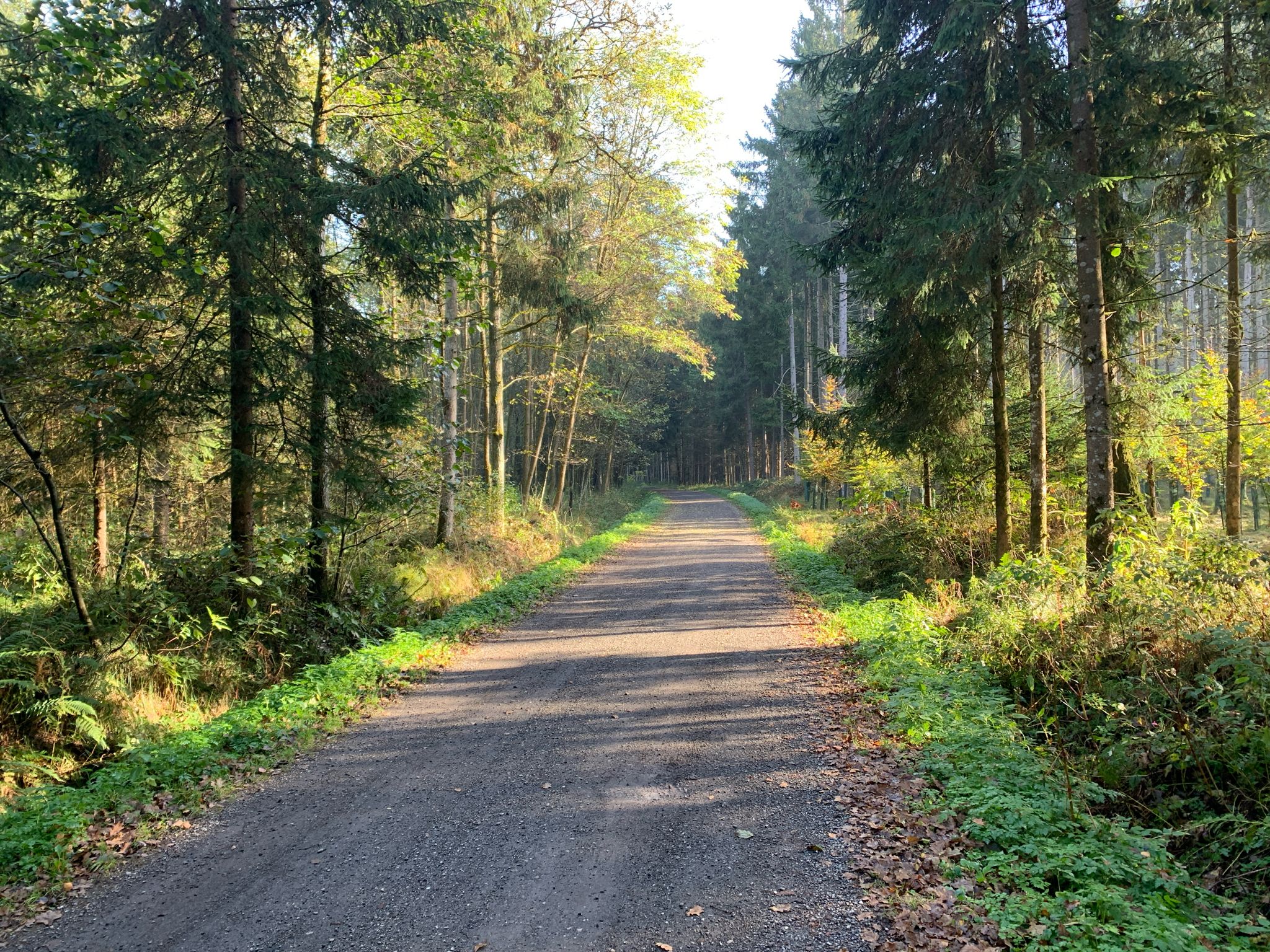 Am Hochfeldweg