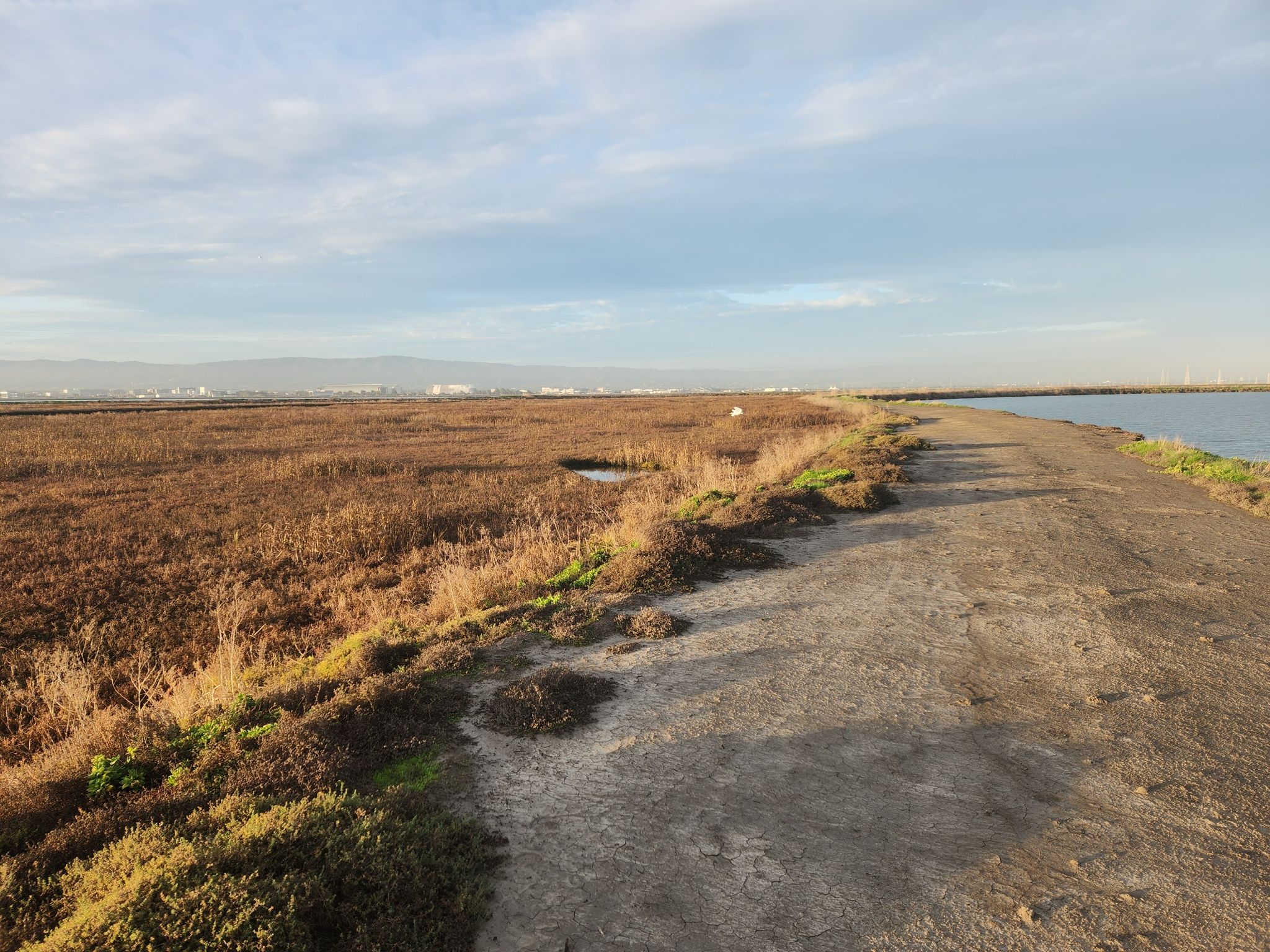 A dirt path beside vast brown marshland and water under a cloudy sky. - Alviso Slough Loop Trail