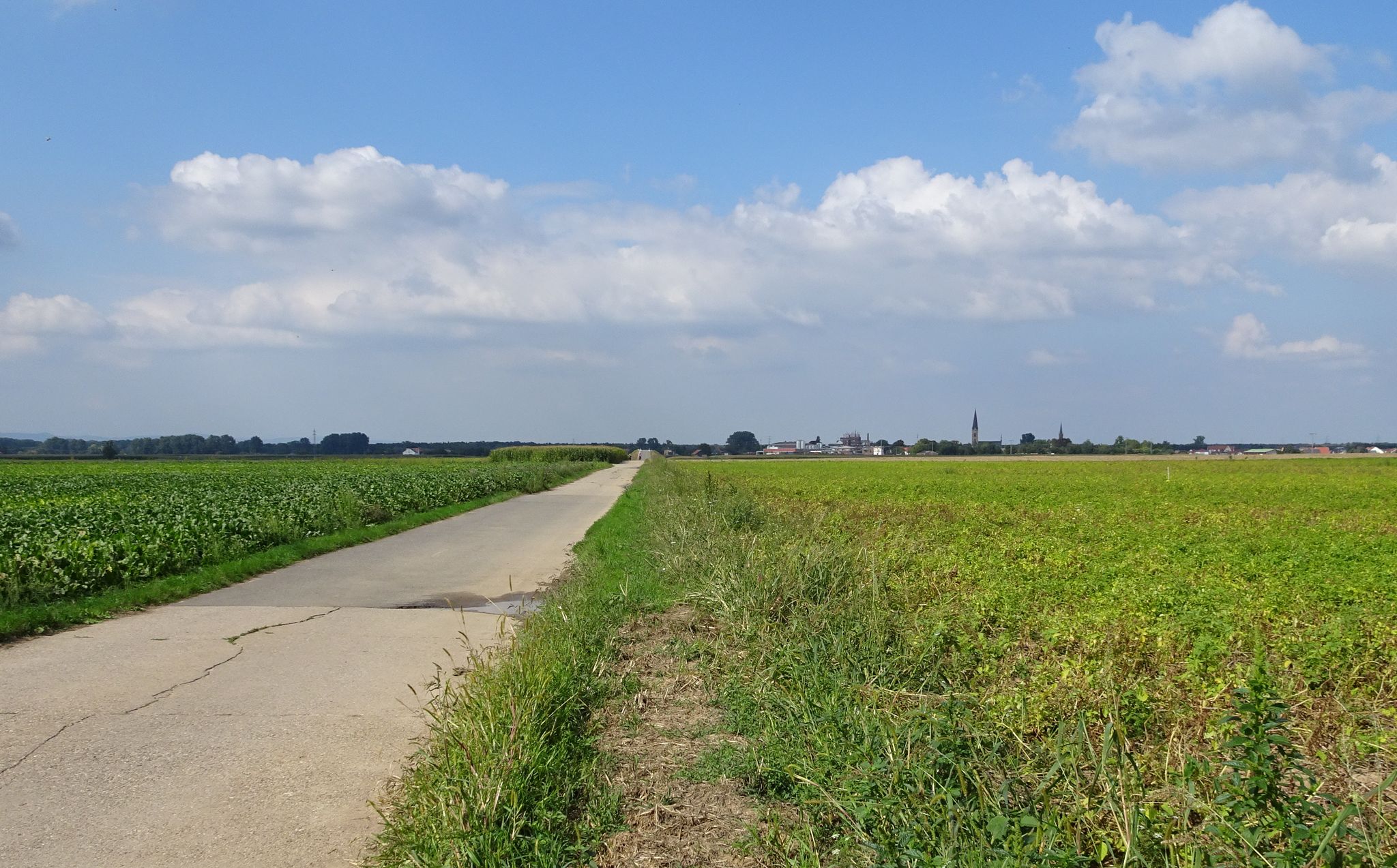 vor Bellheim